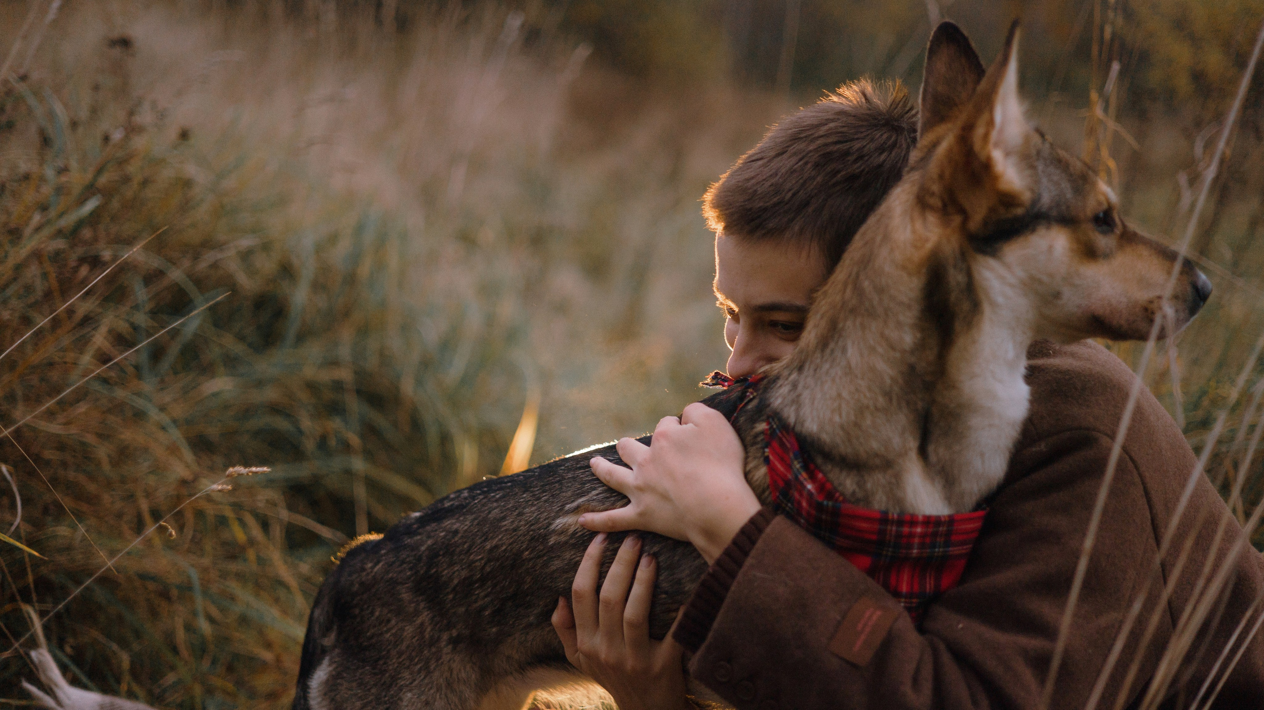 Маша, Катя, Астрид и Мася. Фотограф-анималист Богданова Полина