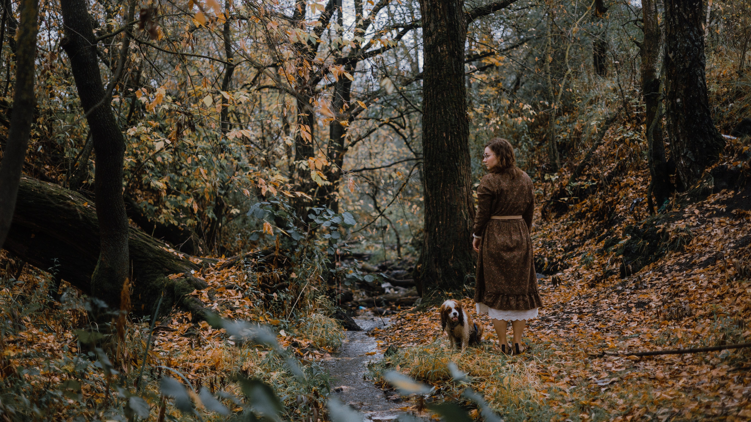 Маша и Дарси. Фотограф-анималист Богданова Полина