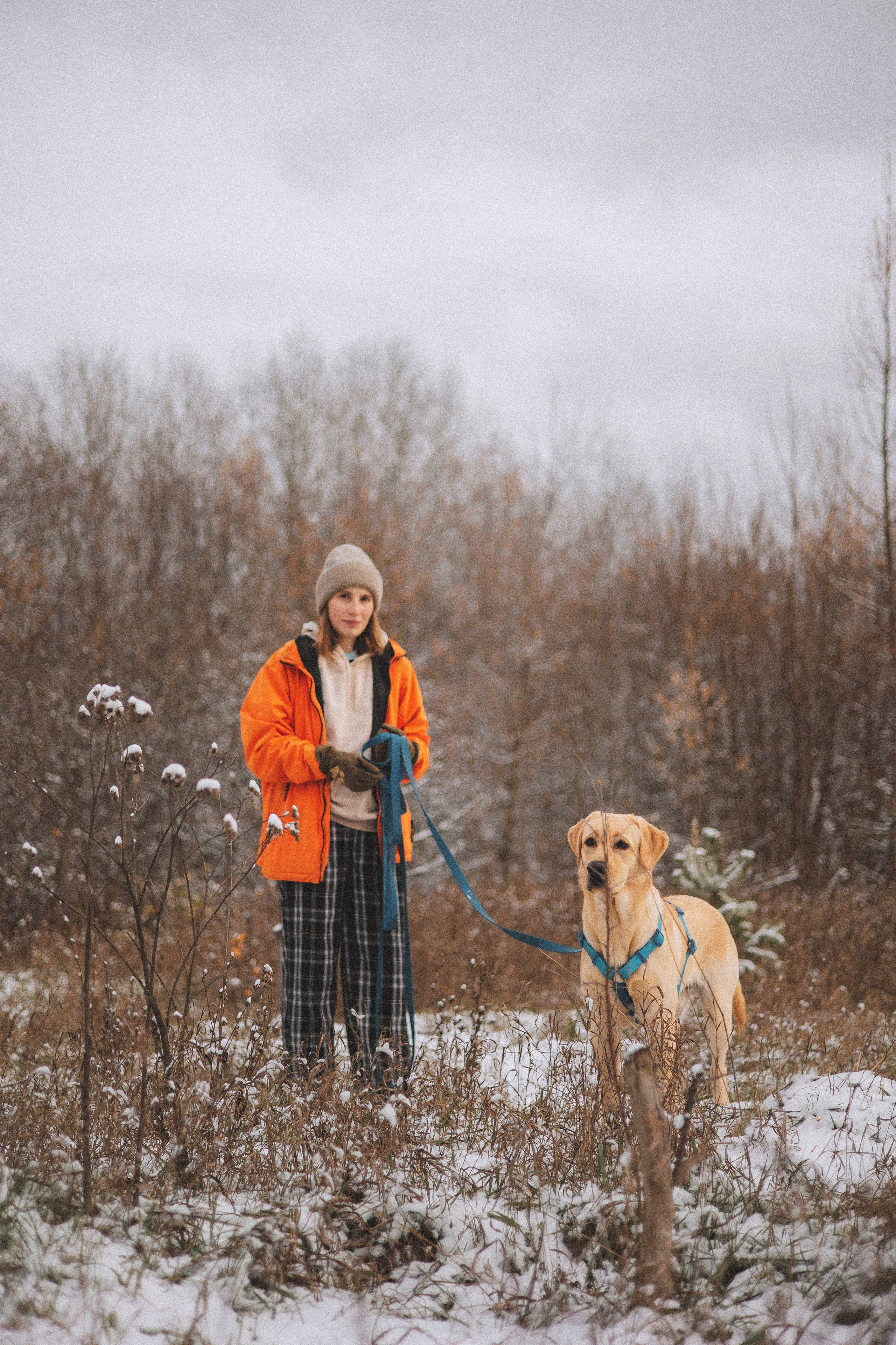 Маргарита и Варди. Фотограф-анималист Богданова Полина