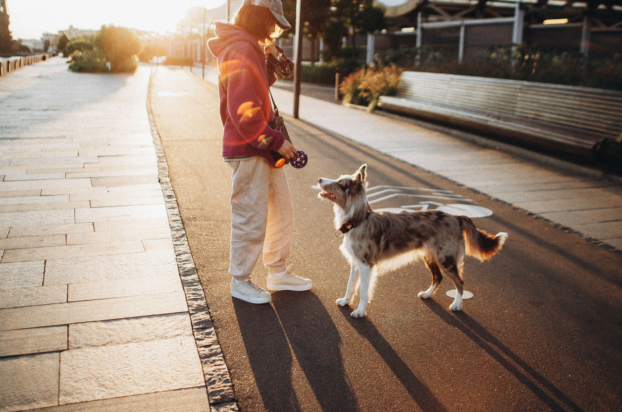 Аня и Дэймон. Фотограф-анималист Богданова Полина