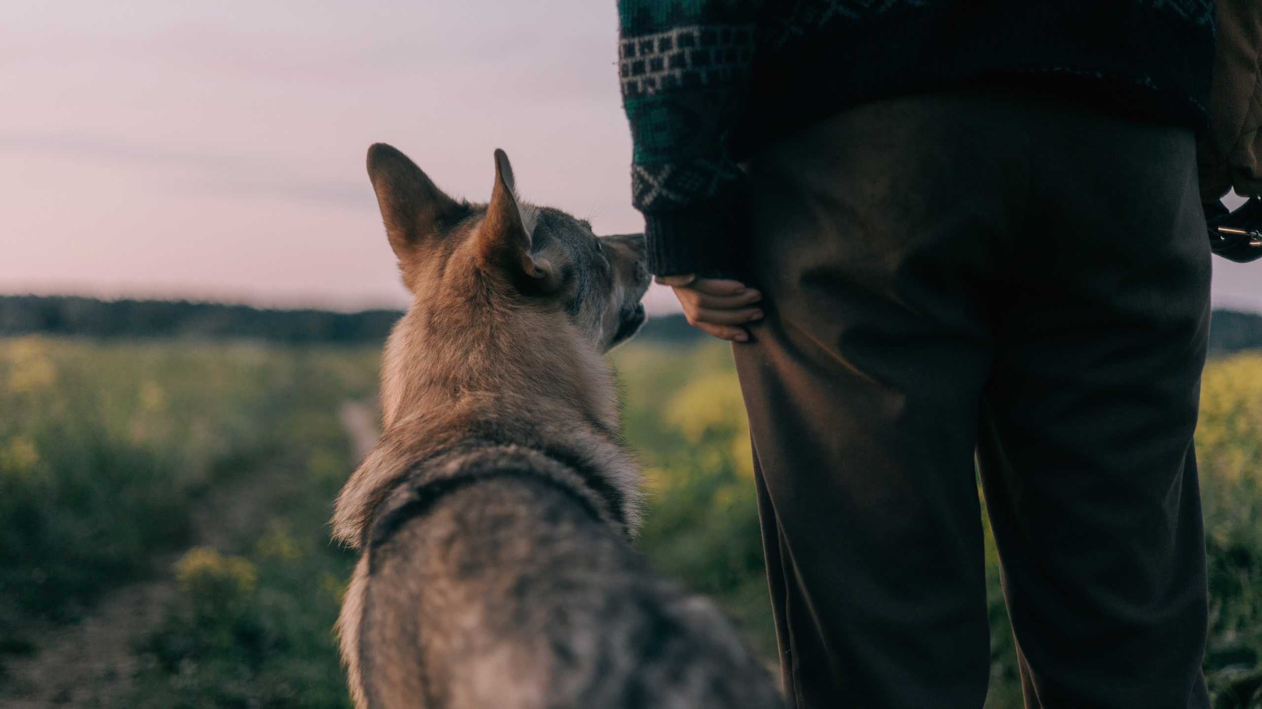 Маша и Дэрил. Фотограф-анималист Богданова Полина