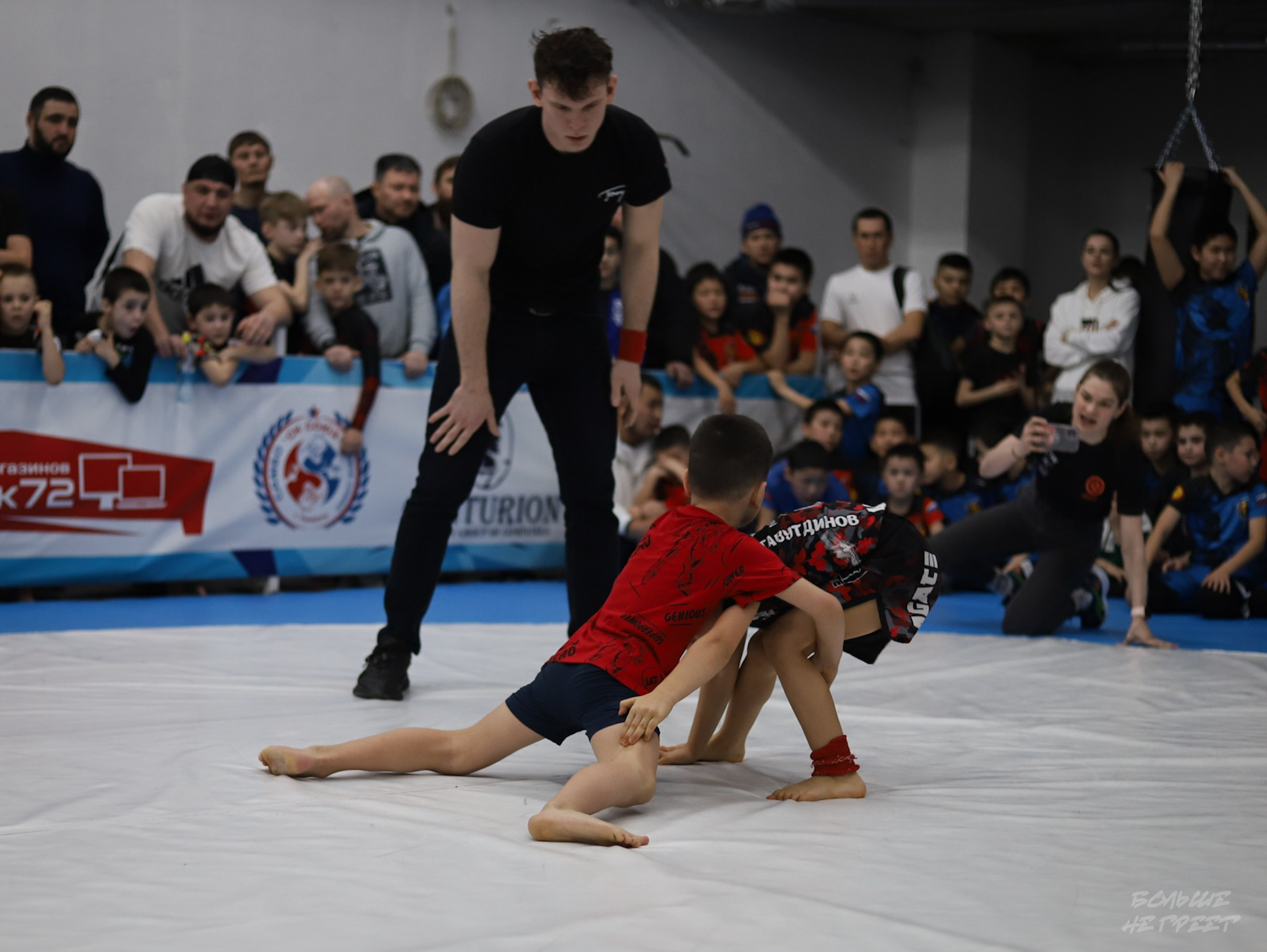 GORILLA PRIDE CUP. Больше не греет