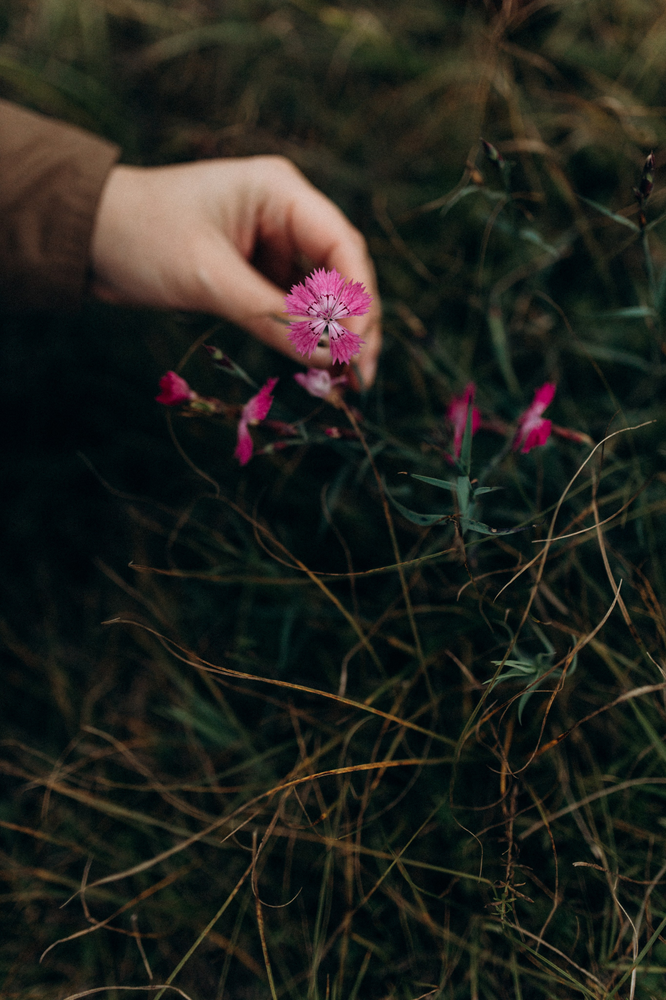 Диана. Фотограф НОГИНСК, Москва, Анастасия Белая