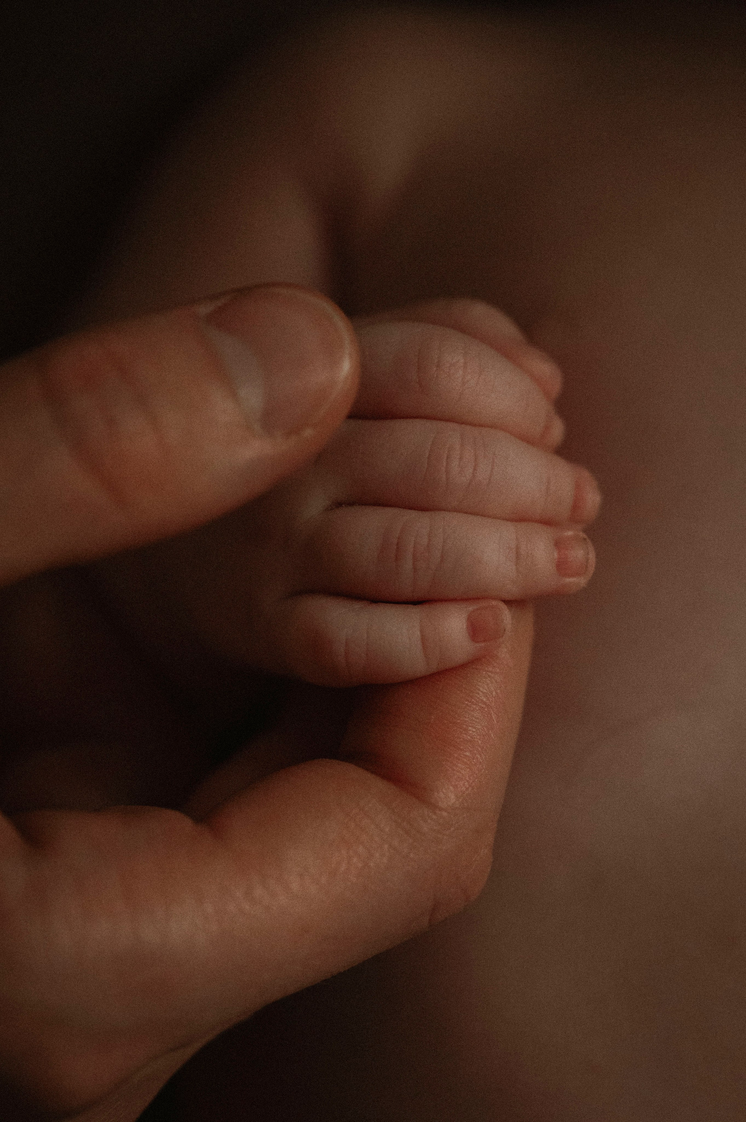 Семейная домашняя фотосессия. Профессиональный фотограф беременности в СПБ. Стильные фотосессии беременности в стиле минимализм и классическая фотография