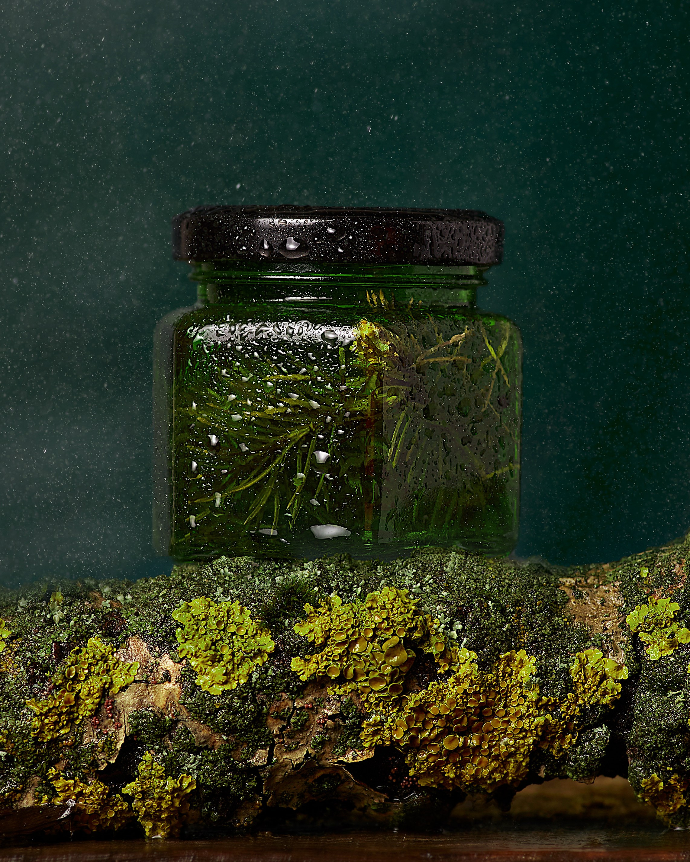 Творчество. Фотограф. Love story, портрет, индивидуальные съемки. Фудфотограф