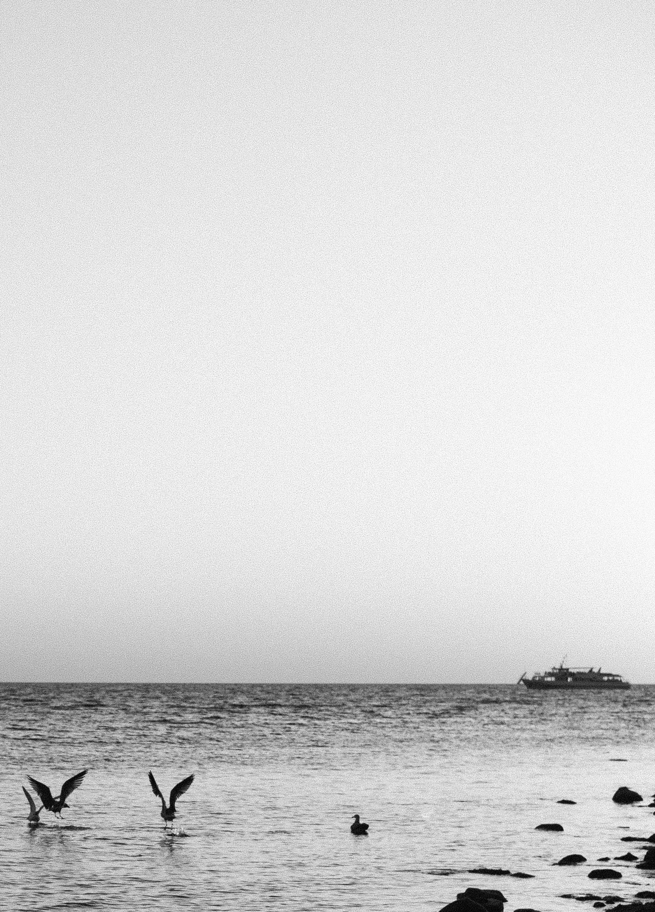 Поля. Семейный и свадебный фотограф в Краснодаре Елизавета Замаева