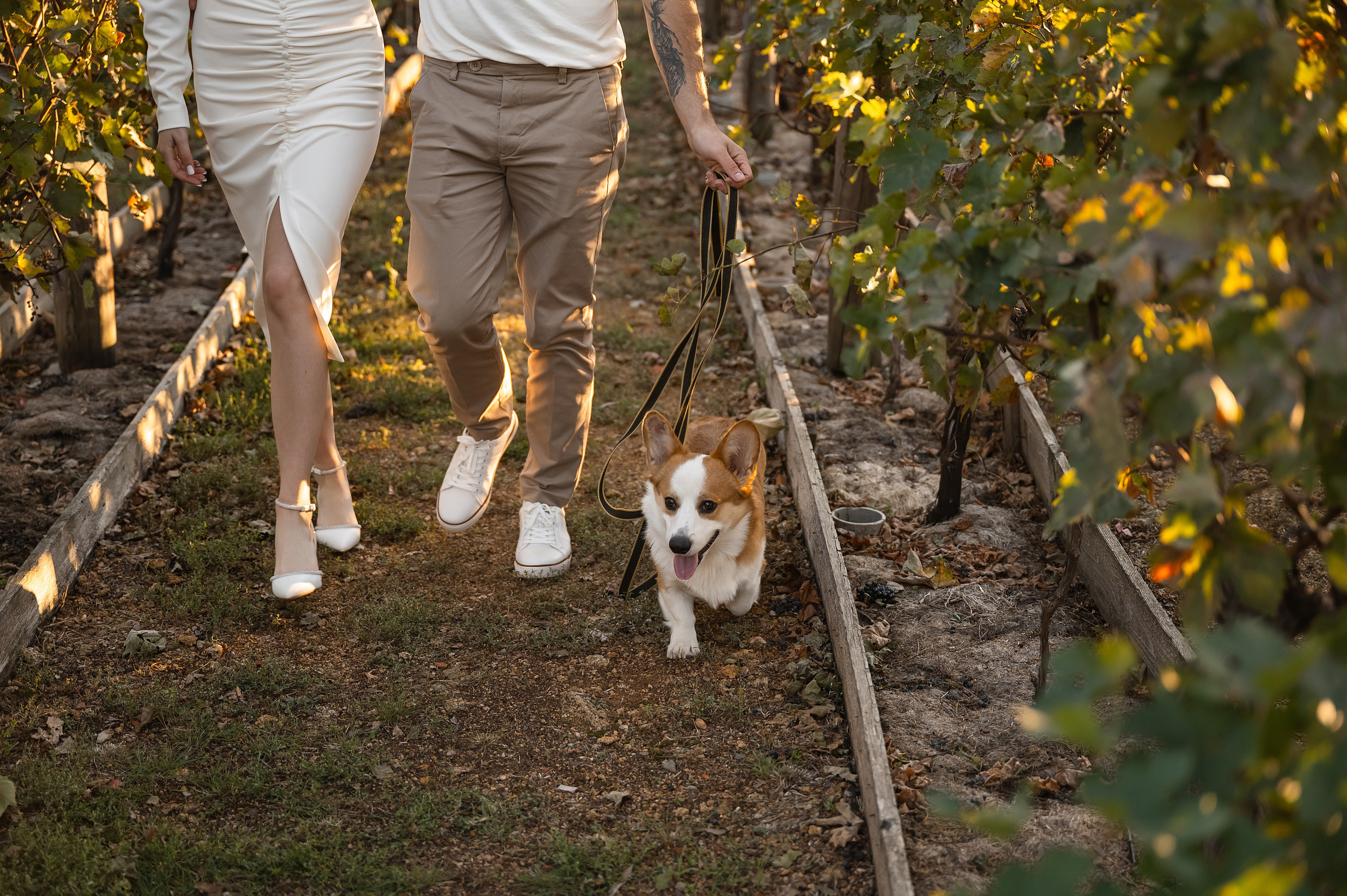 Саша и Лера. Свадебный фотограф и видеограф