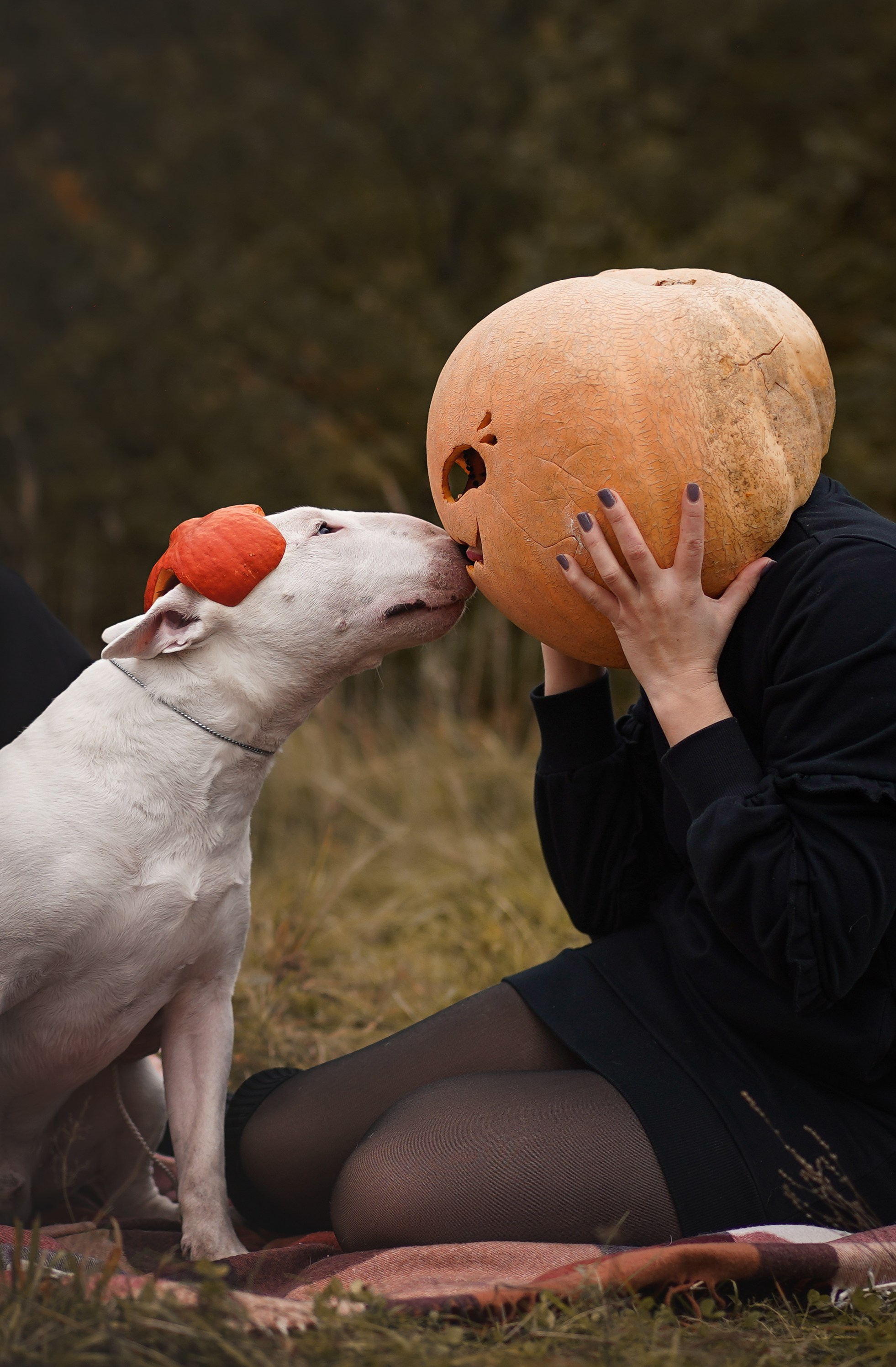 Настя Рома и Сахар Хелоуин. Фотограф-анималист в Санкт-Петербурге Яна Мартынова