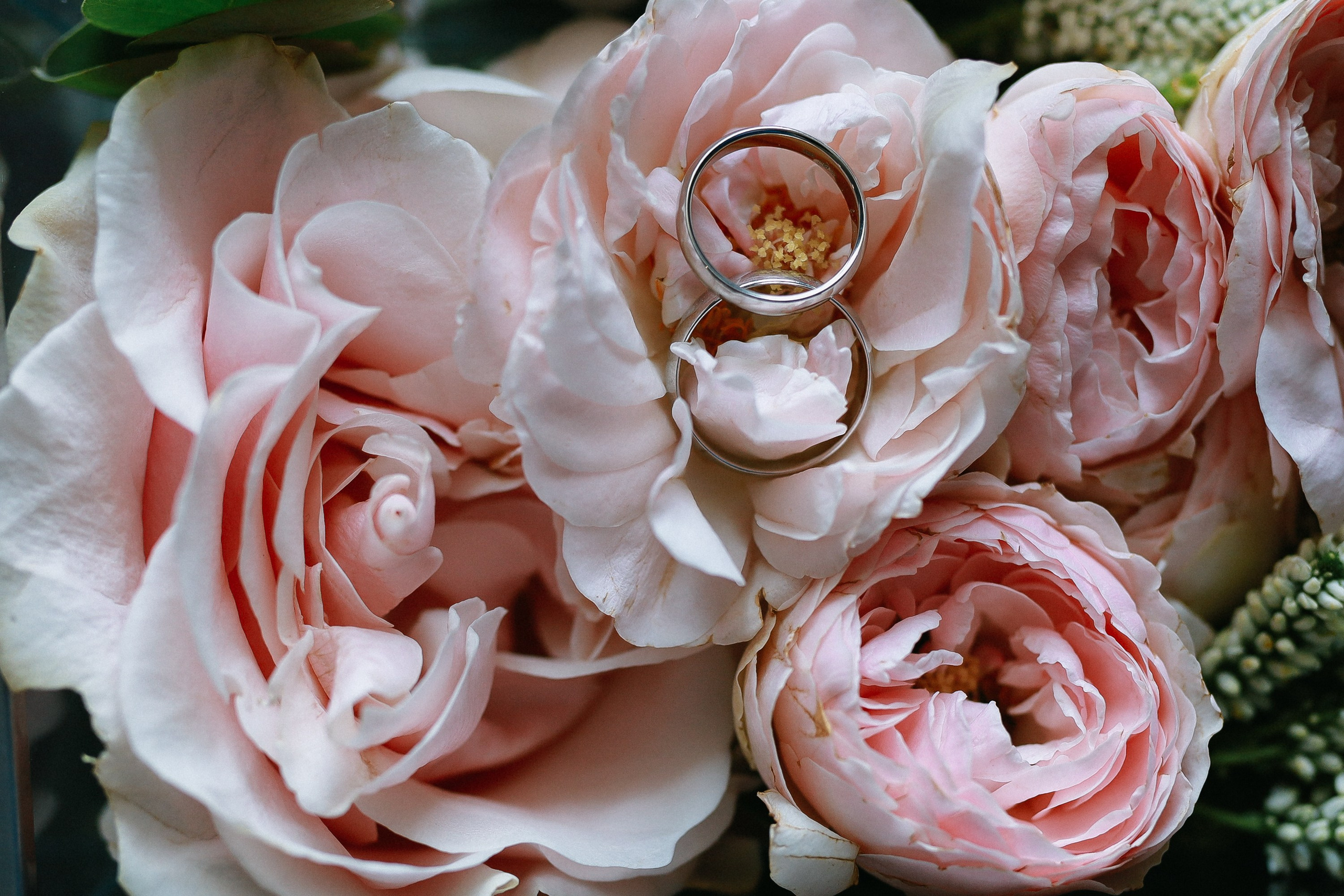 Екатерина и Кирилл. Свадебный фотограф Волгоград и Волжский Евгения Кимлач