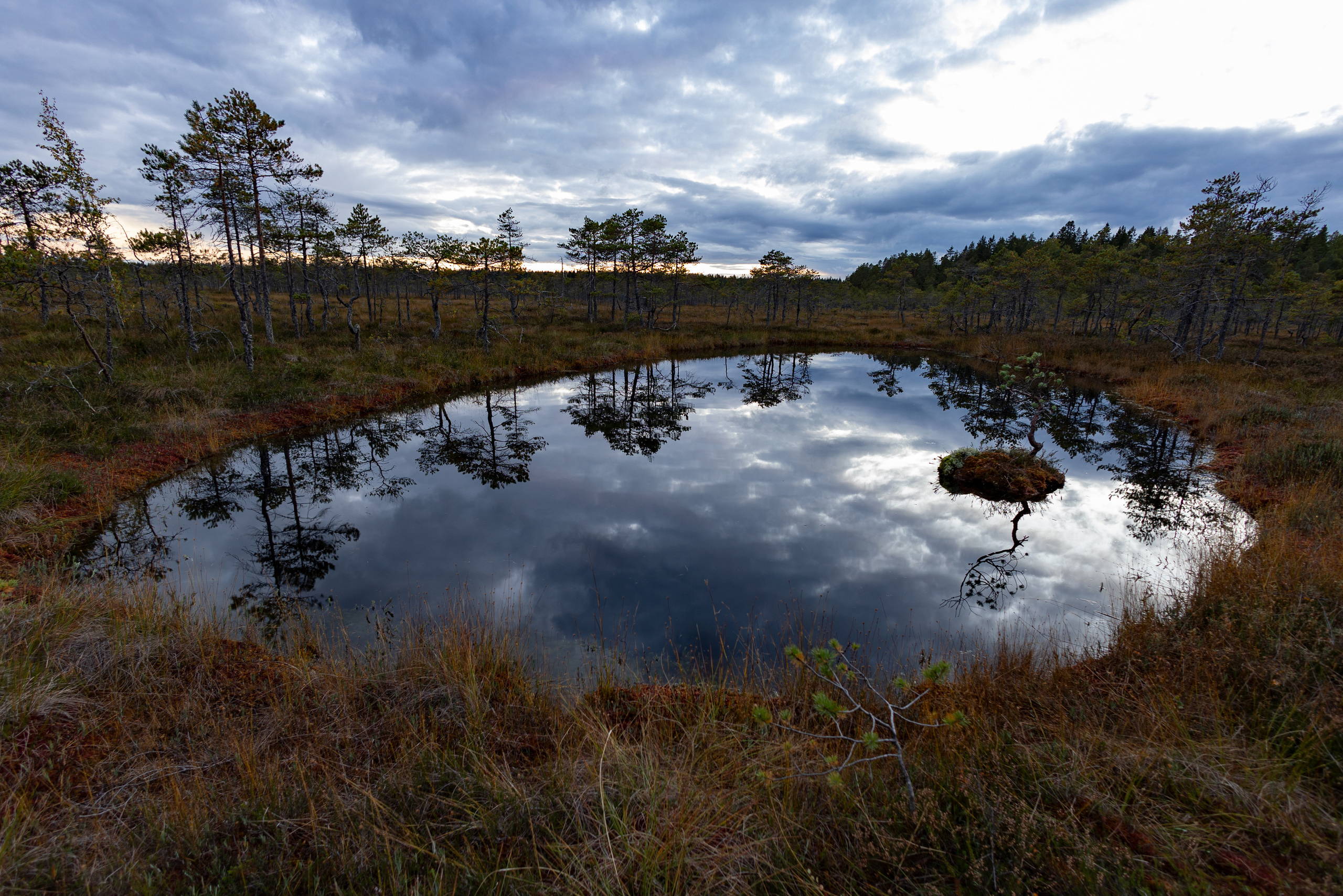 Пейзажи. Портретный и пейзажный фотограф в Санкт-Петербурге Игорь Золотухин