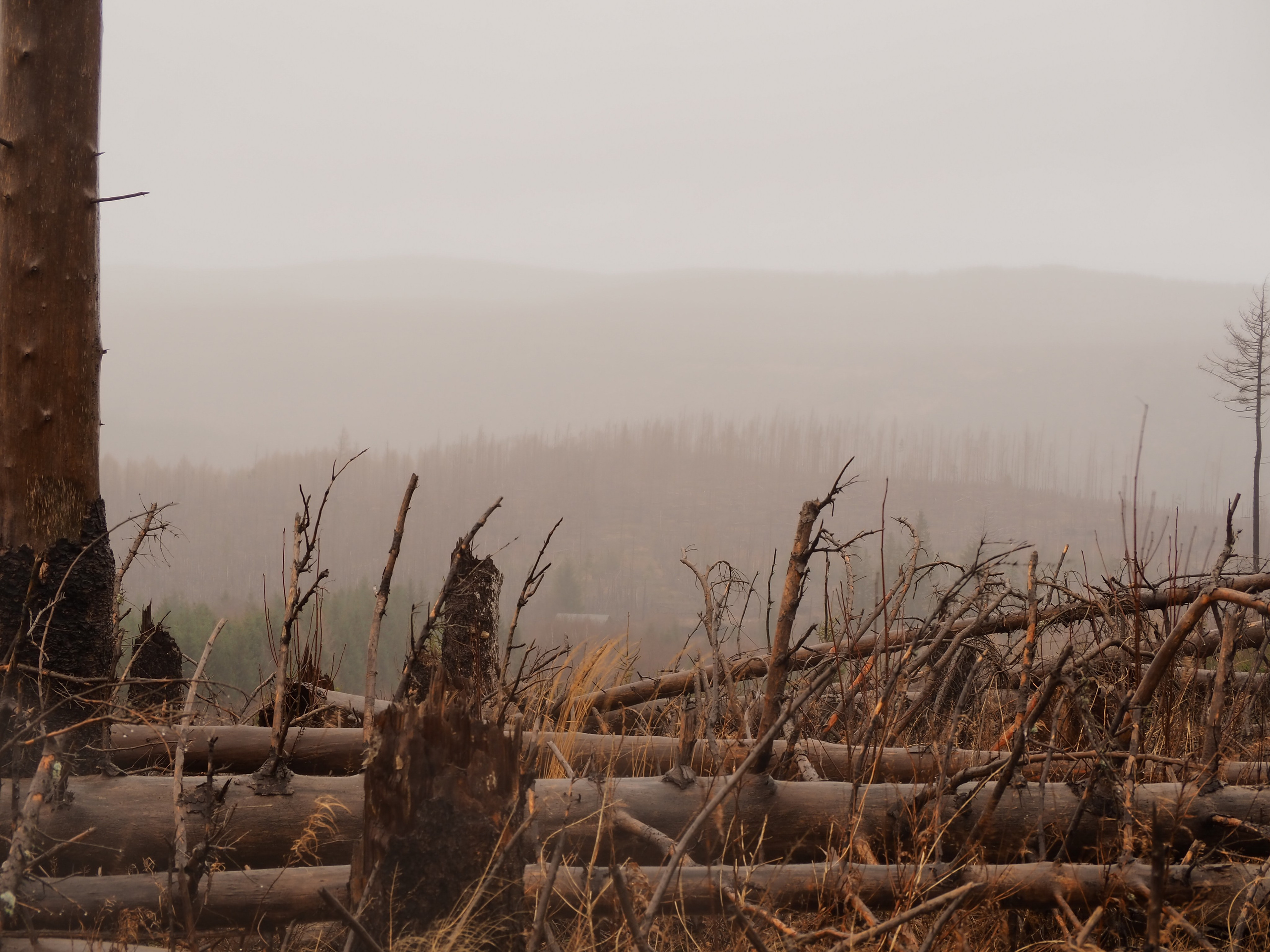 Харц. Германия. Репортажный фотограф в Берлине Александра Герман