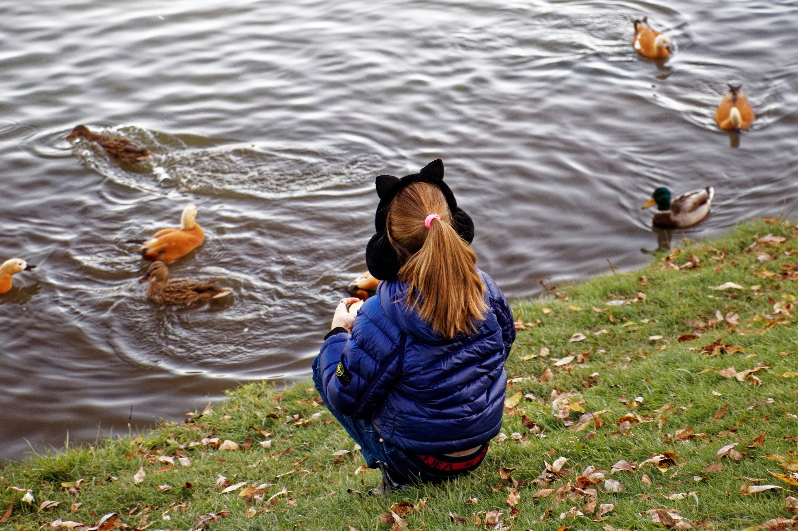 ЦАРИЦИНО. Фотограф Владимир Роля