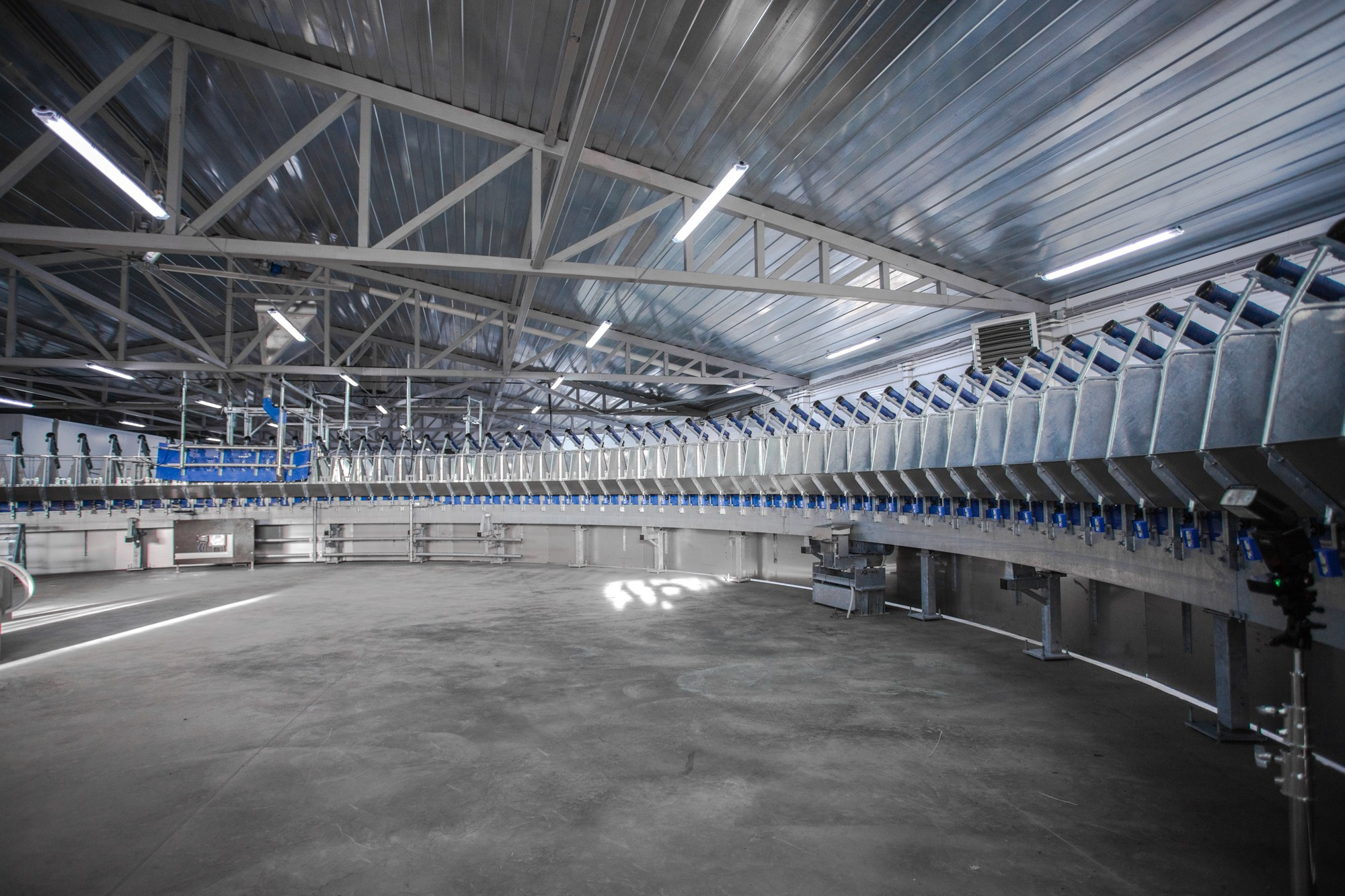 Открытие карусели для дойки скота. Репортажный, промышленный и маркетплейс-фотограф Дмитрий Чернат