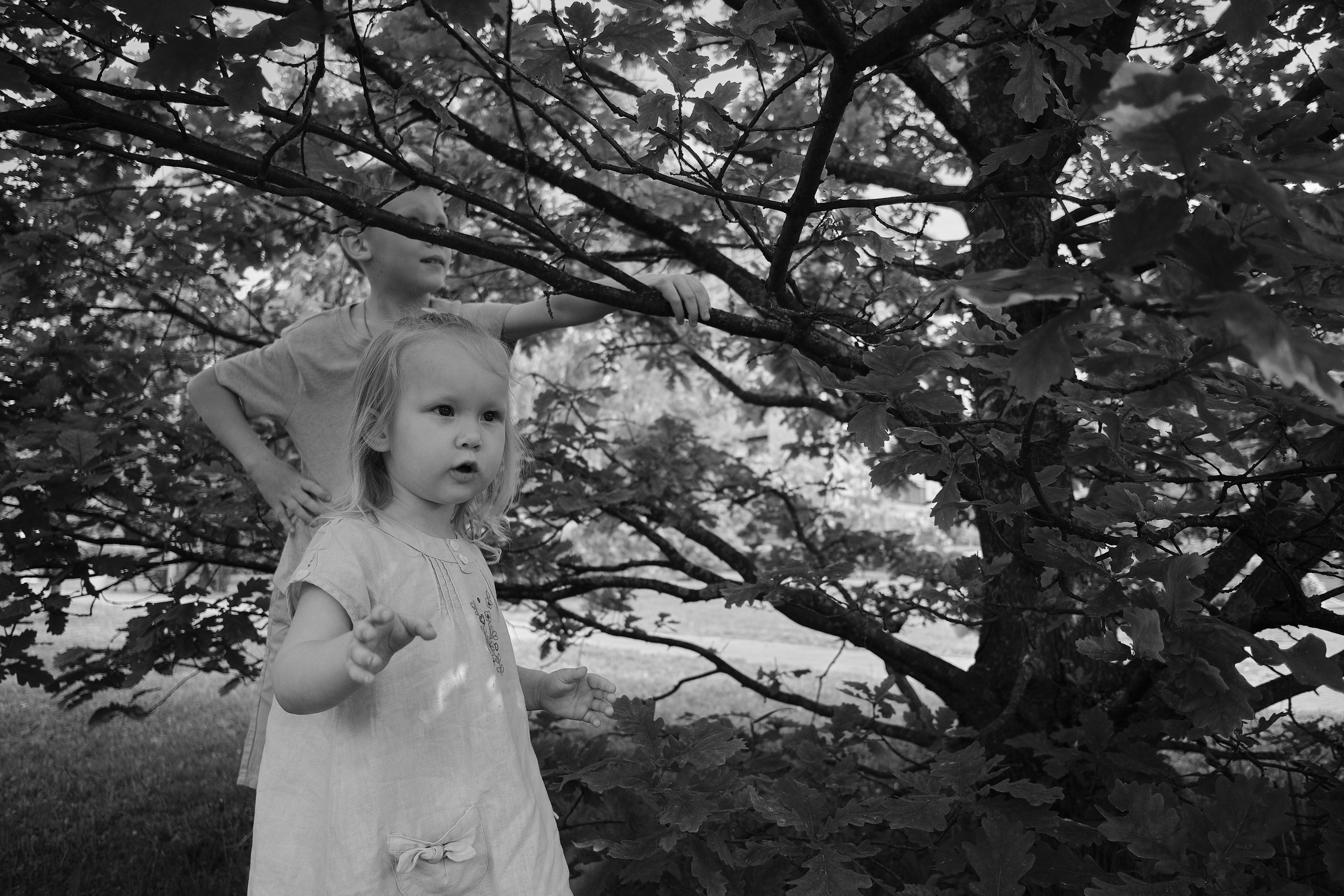 Семейная съёмка (Репортаж)