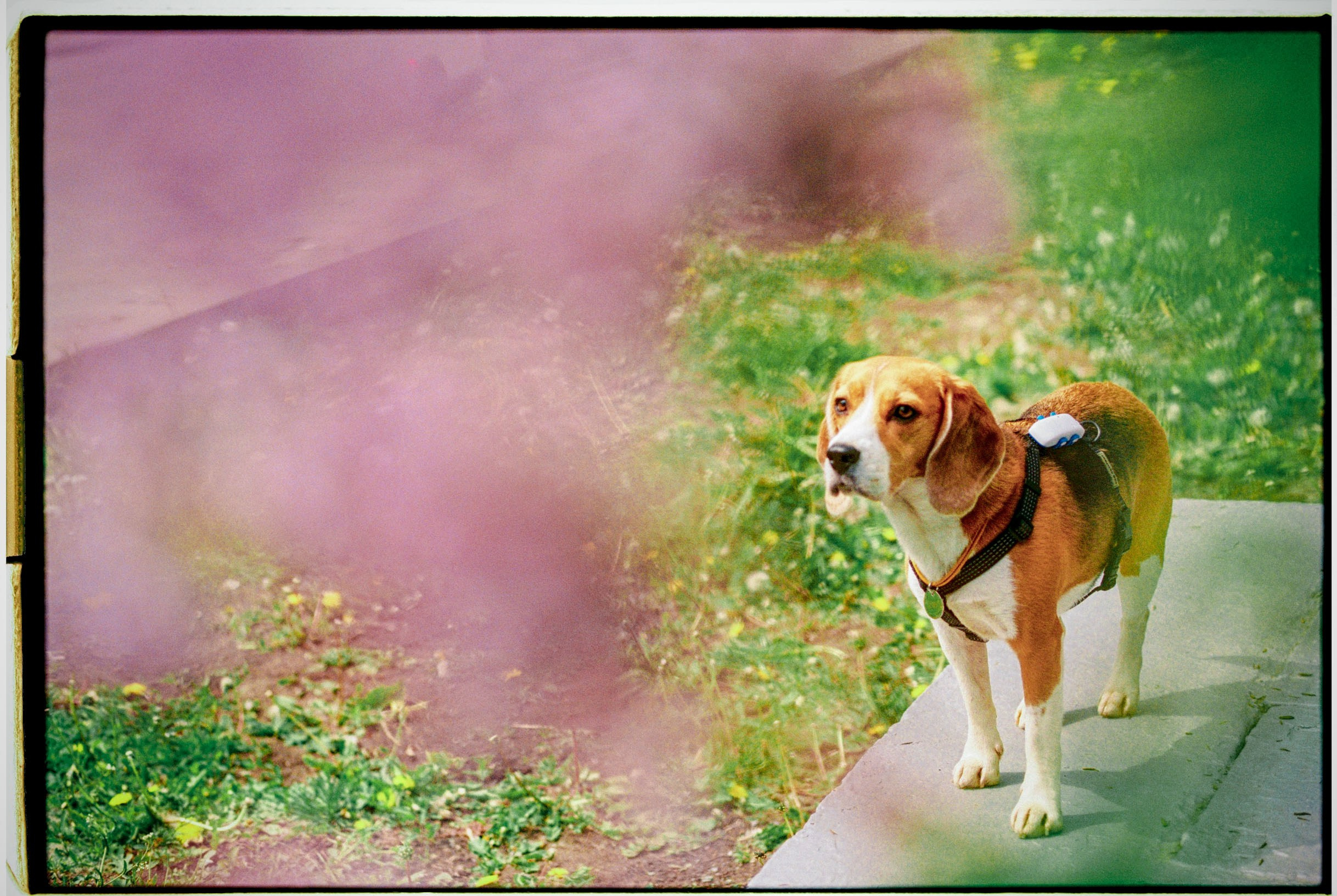 May 2023. Никита Демидов. Nikita Demidov