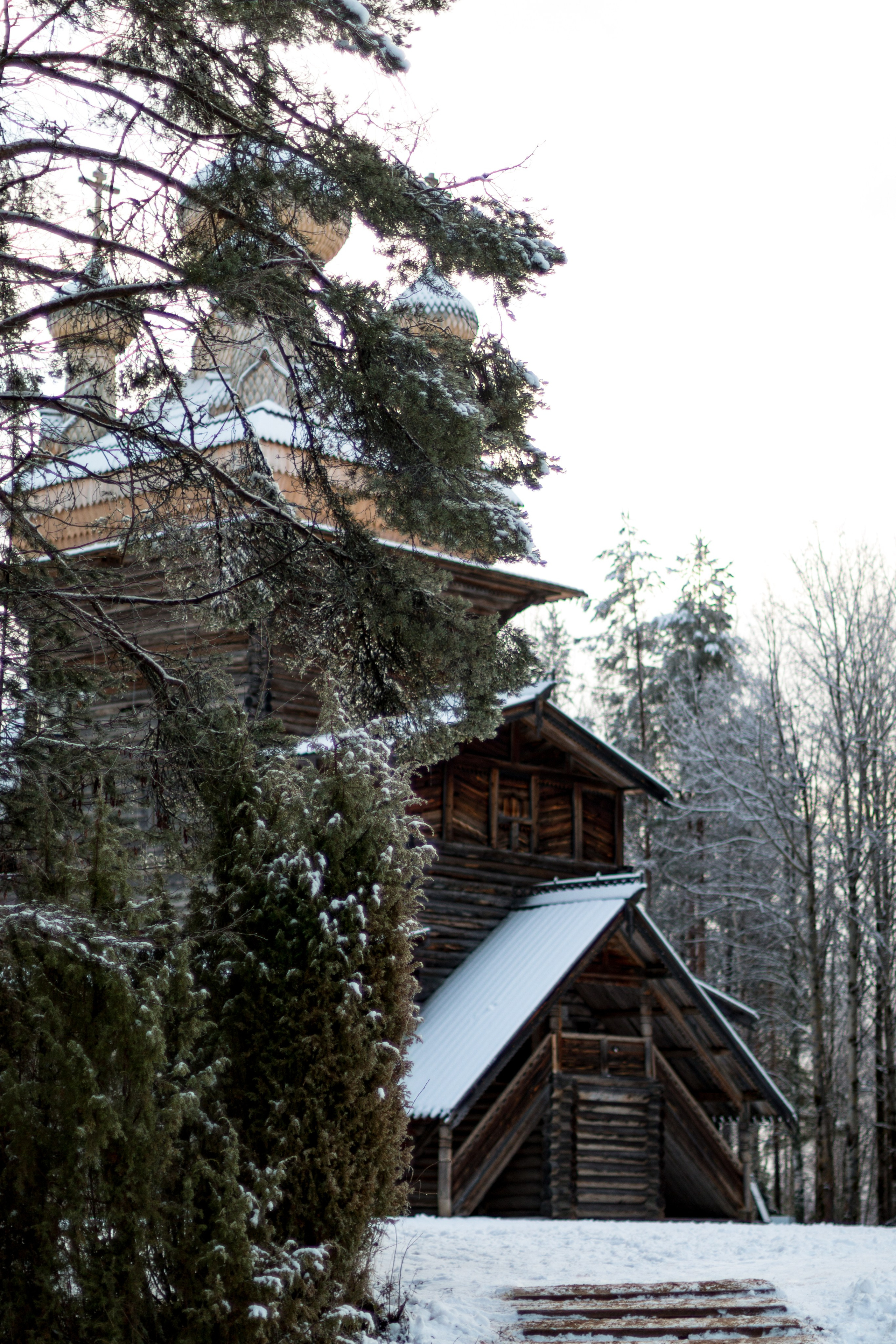 Русский Север, Малые карелы. Фотограф в Сочи