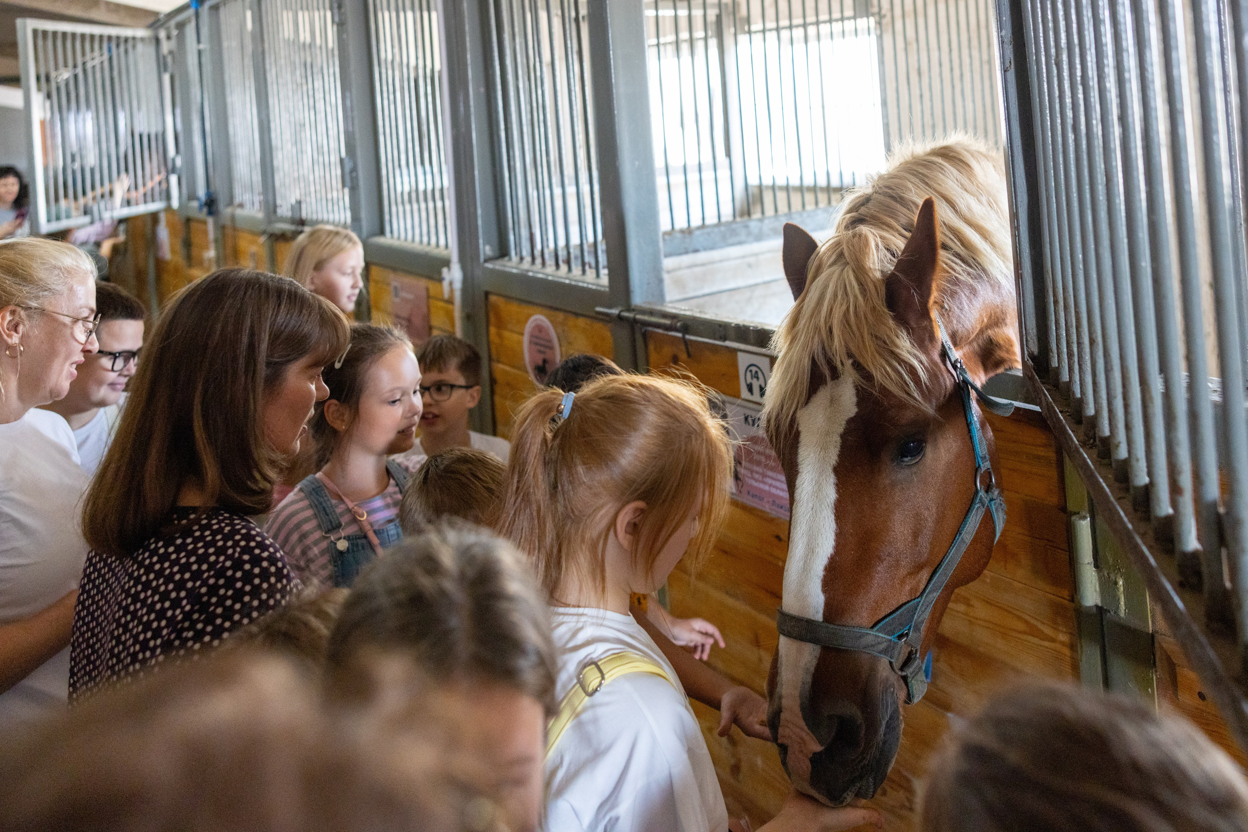 Поездка на поле Кулеково. Фотограф в Туле Крупский АнДРей. Фотостудия «КАДР71» в Туле