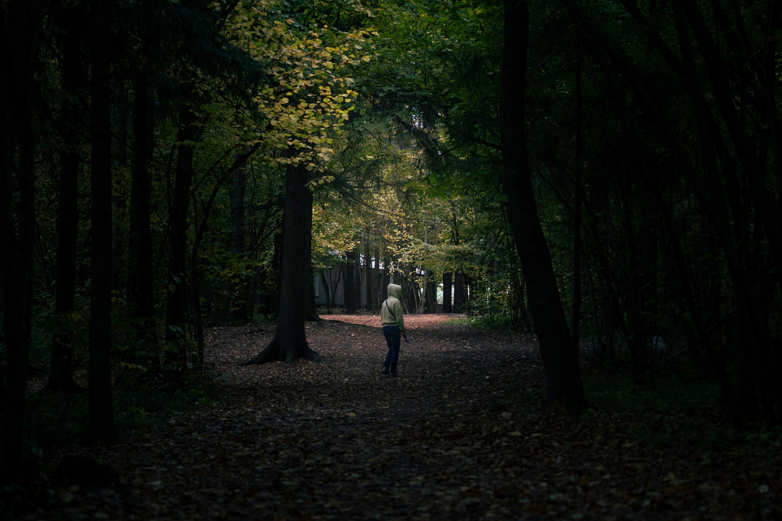 Разное неважное. Фотограф в Москве Алейникова Евгения