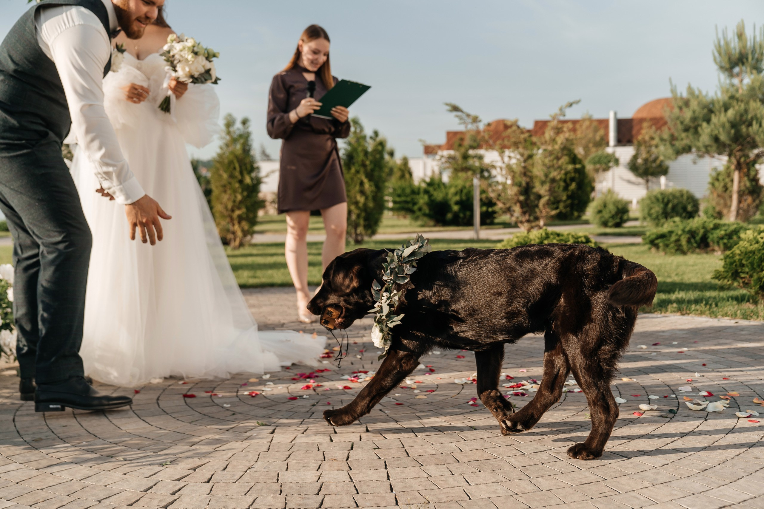 Паша & Юля. Lokos.pro Ник Соколов Фото и Видео Москва/Ростов-на-Дону