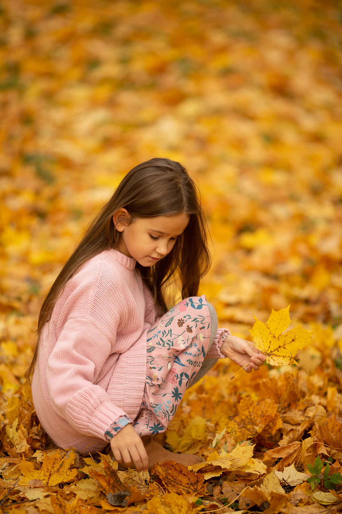 ОНЛАЙН КУРСЫ. Фотошкола Елены Светловой (Санкт-Петербург)