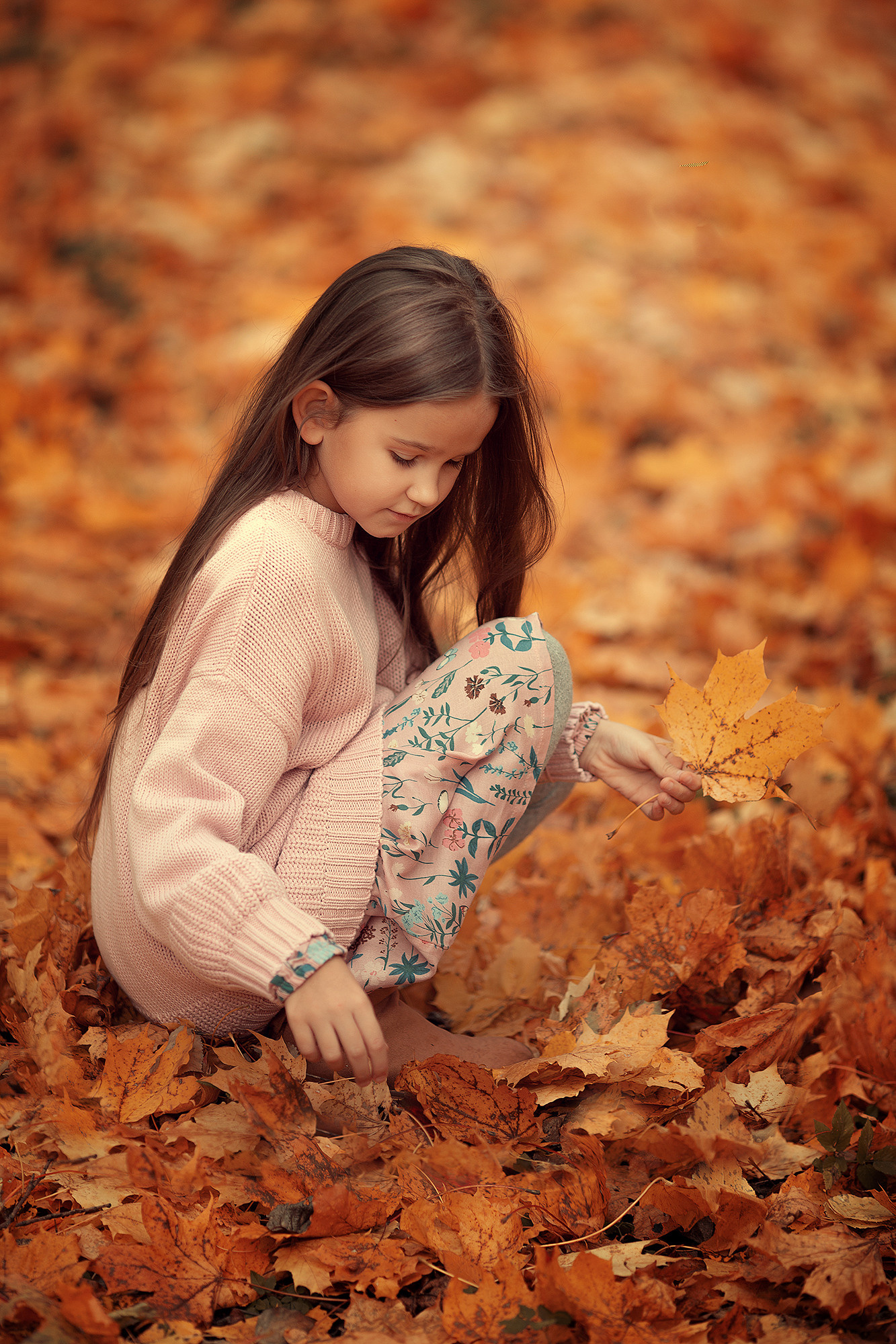 ОНЛАЙН КУРСЫ. Фотошкола Елены Светловой (Санкт-Петербург)