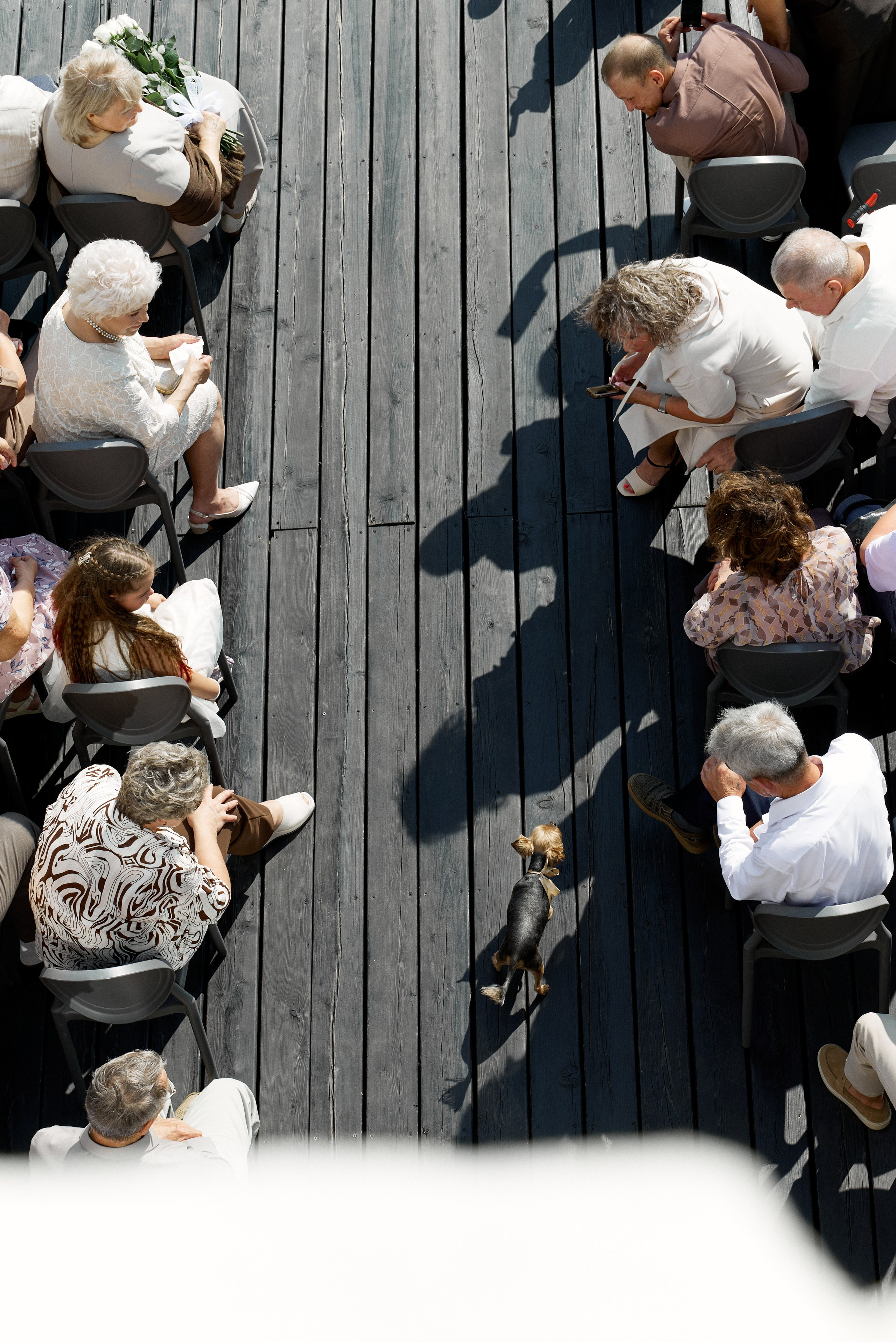 Посмотреть серию. Свадебный и семейный фотограф в Красноярске Тряпчев Павел