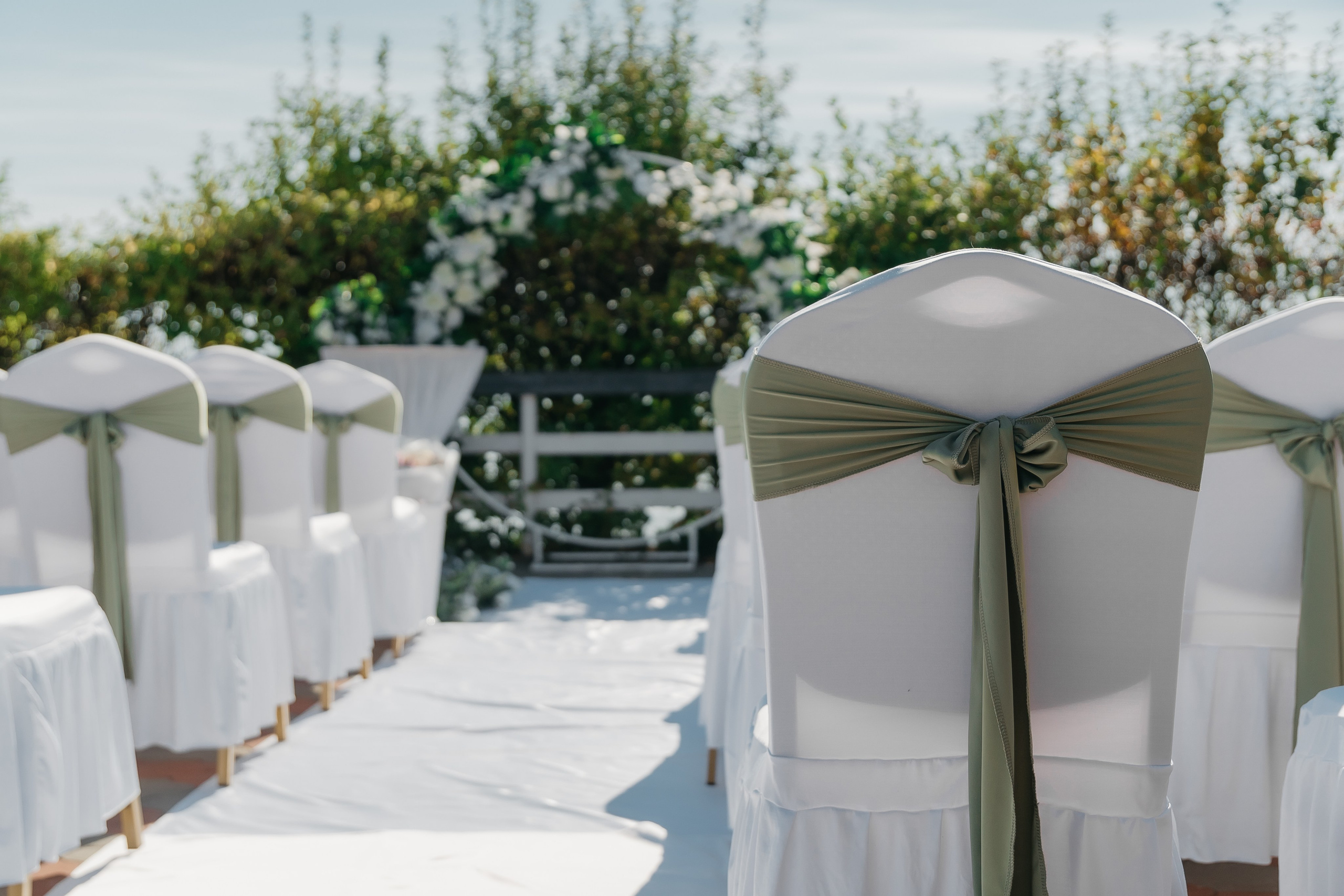 Владимир и Ева. Фотограф Новосибирск Вероника Вишневская