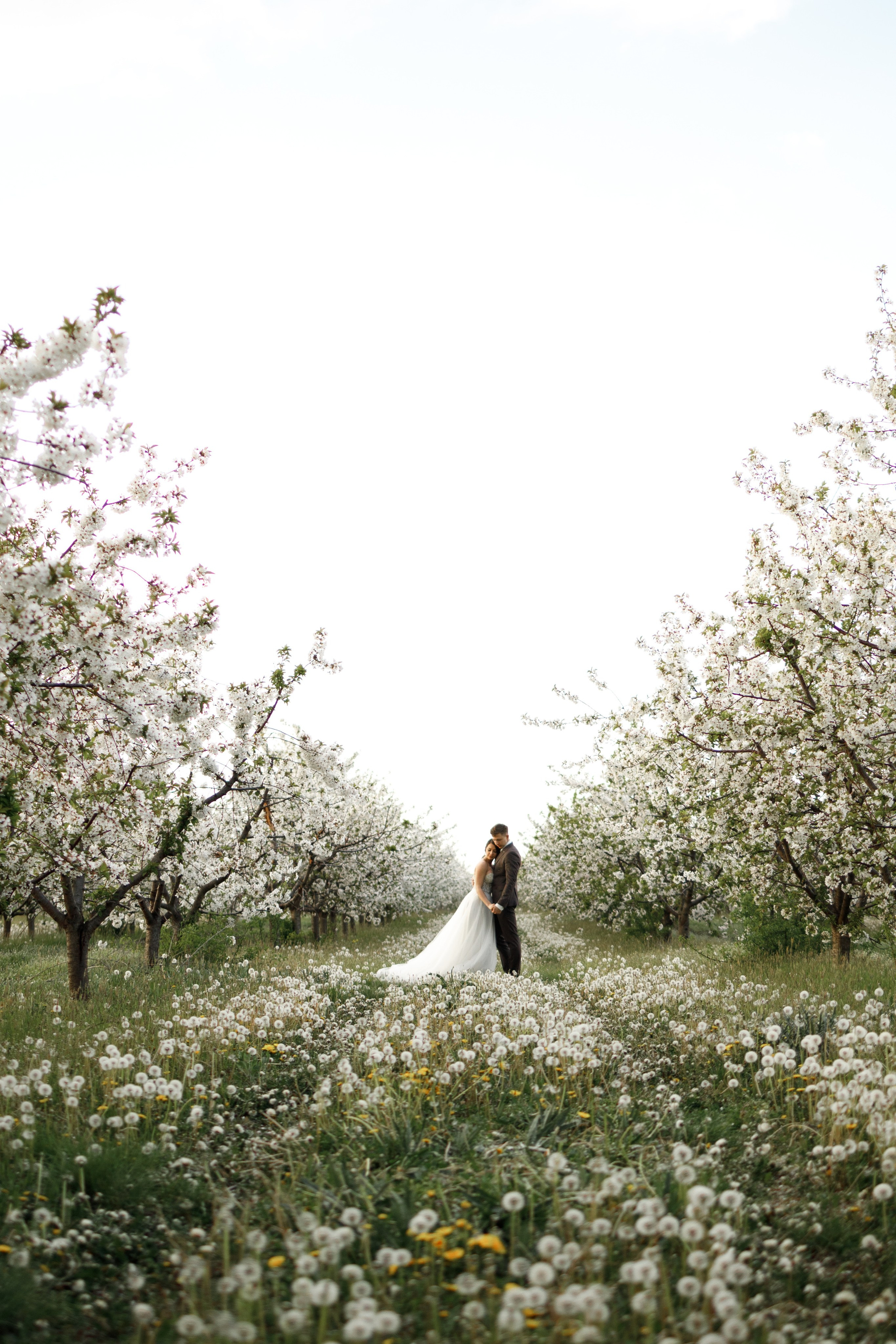 Александр и Ольга. Фотограф Краснодар