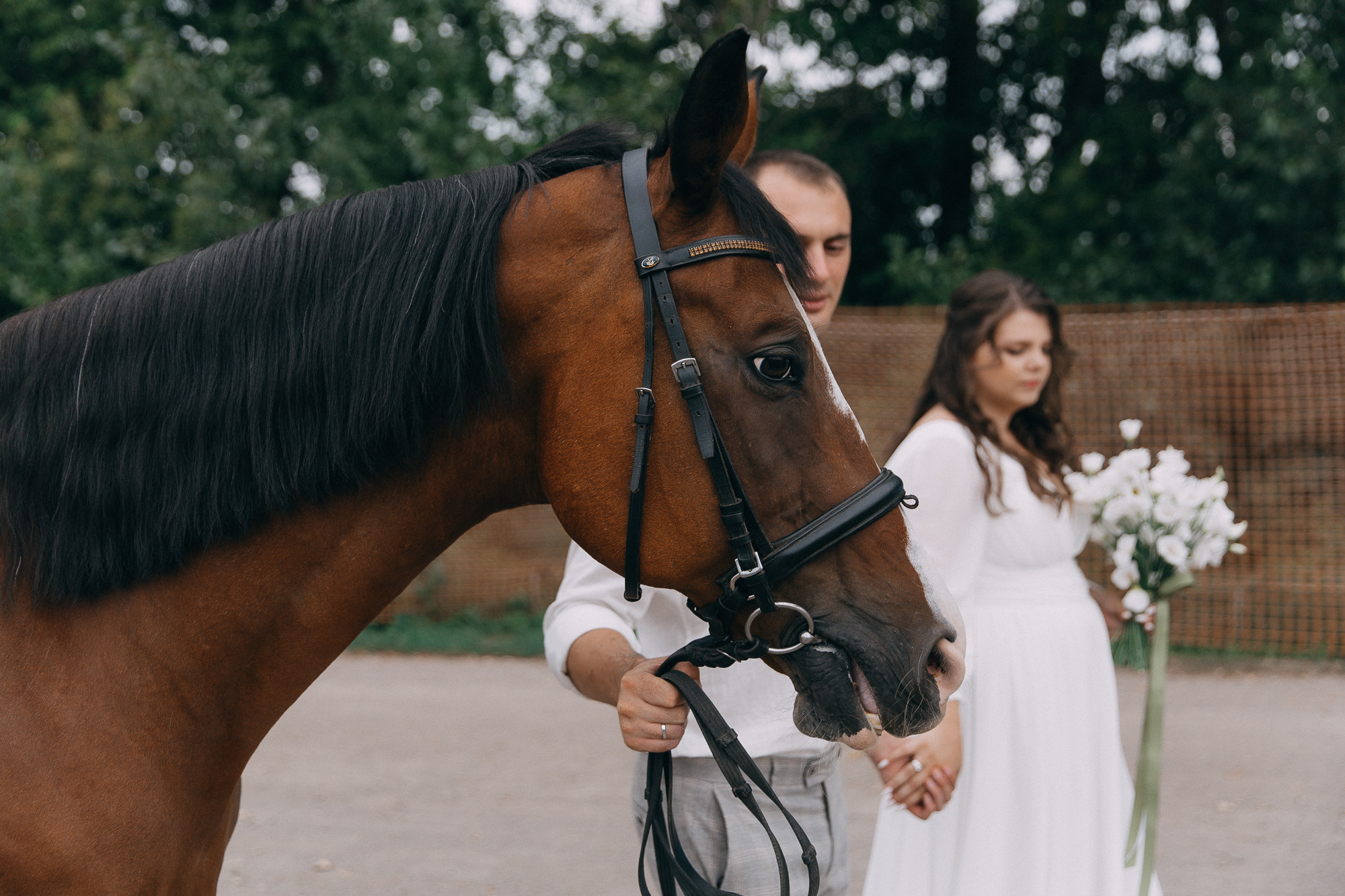 Рома+ Наташа