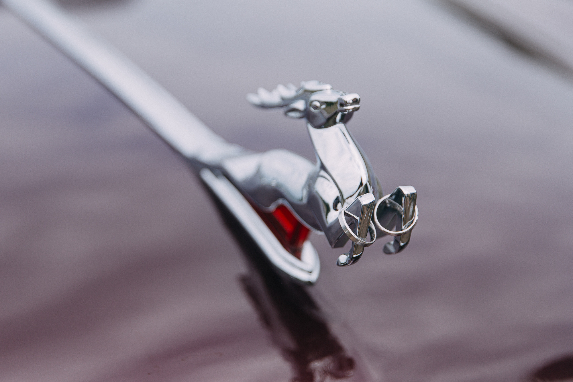 Рома+ Наташа