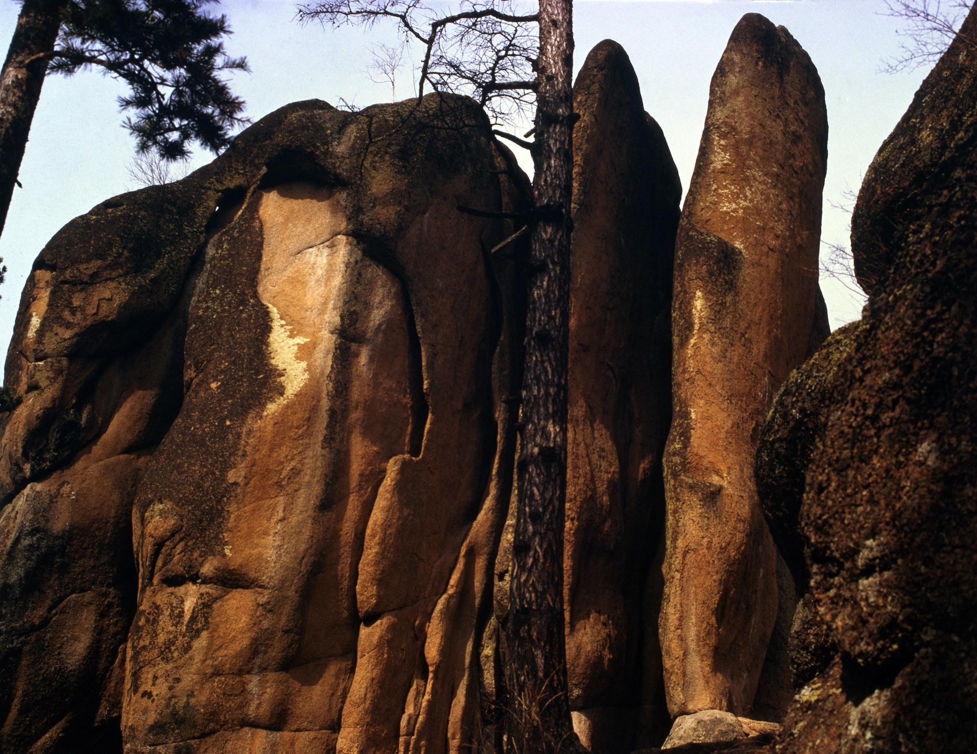 Скалы "Перья". Саяно-шушенский заповедник