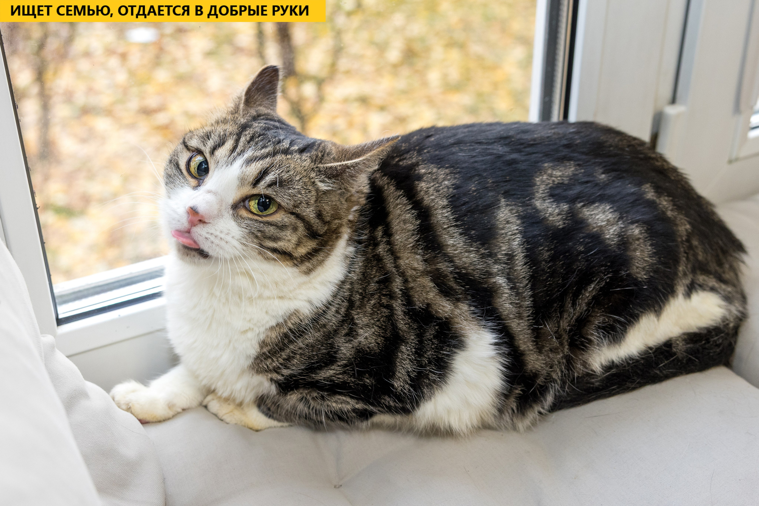 Рекламная съемка в Москве. Геннадий Степанов —фотограф в Москве