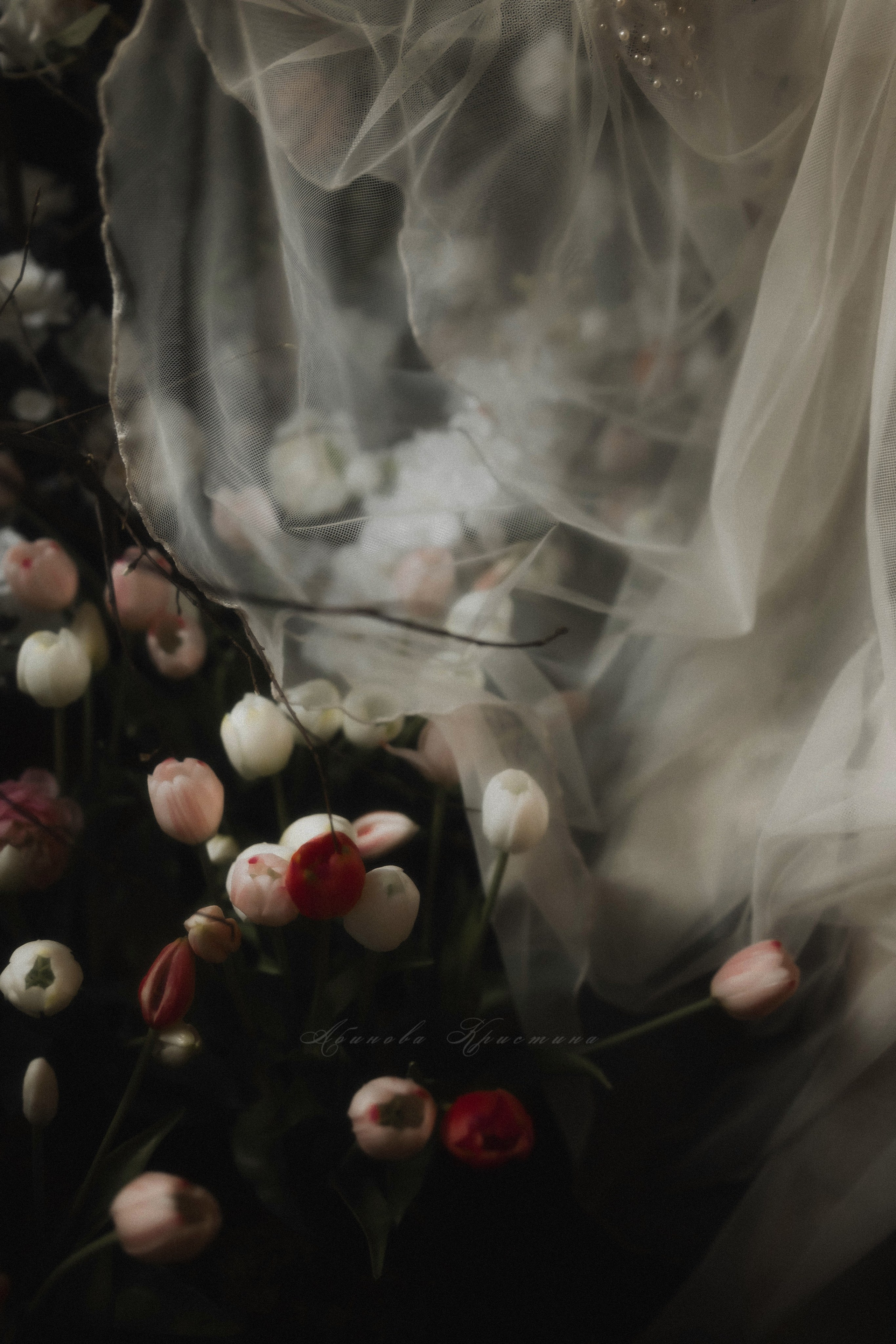 «Тюльпанная лихорадка». Твой проводник в мир ушедших эпох, романтики и женственности