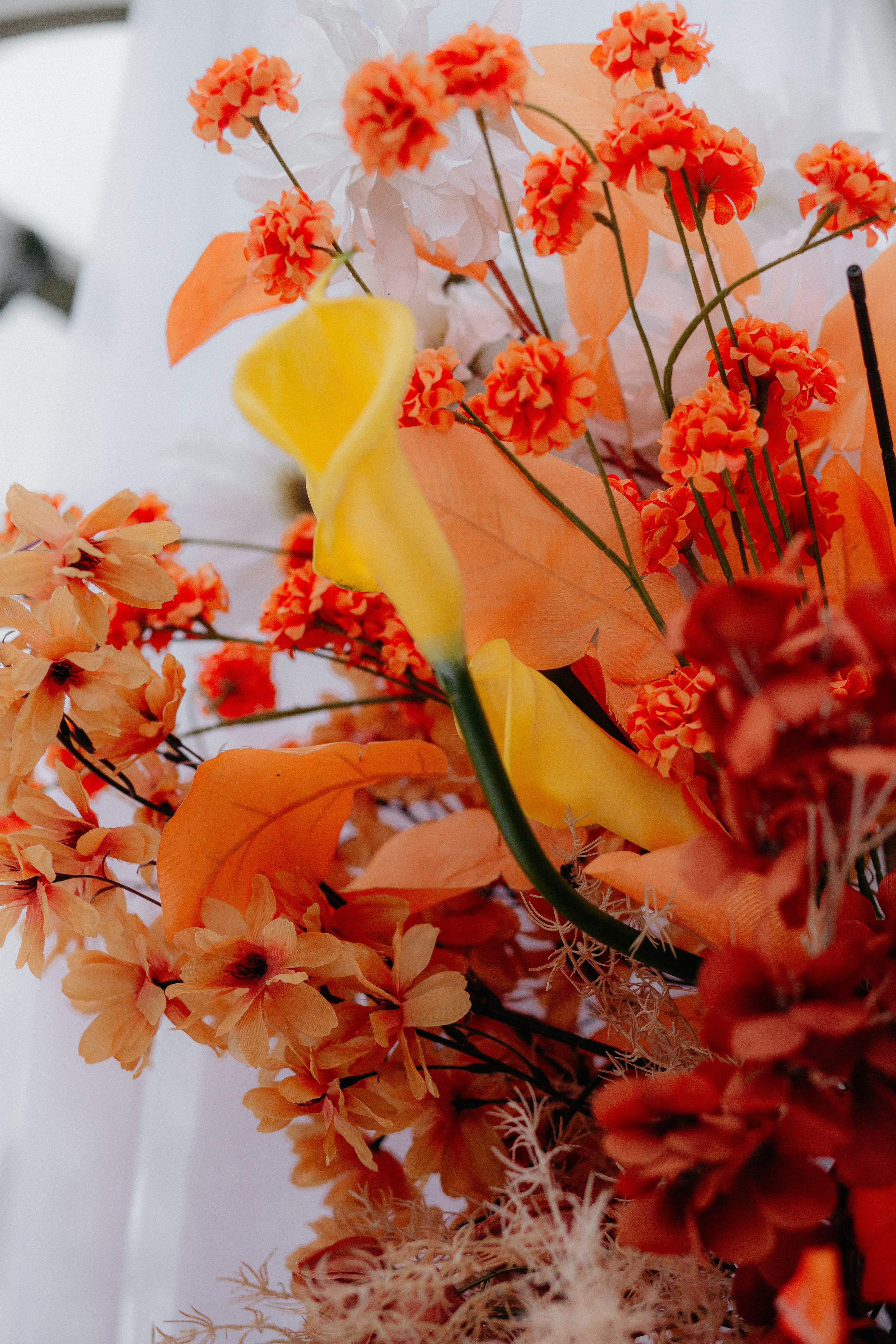 ВИТАЛИЙ И ВИКТОРИЯ. Свадебный и семейный фотограф Иваново Елена Угодина