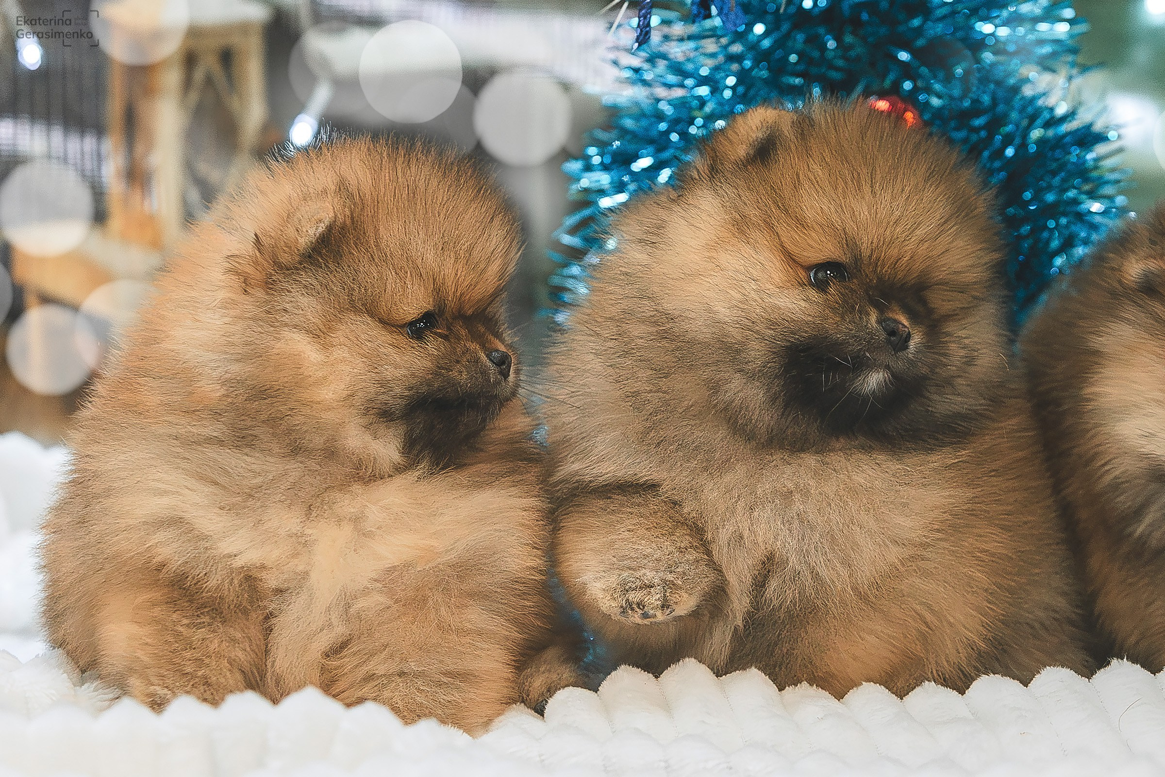 Фотодень. Htykk_photo