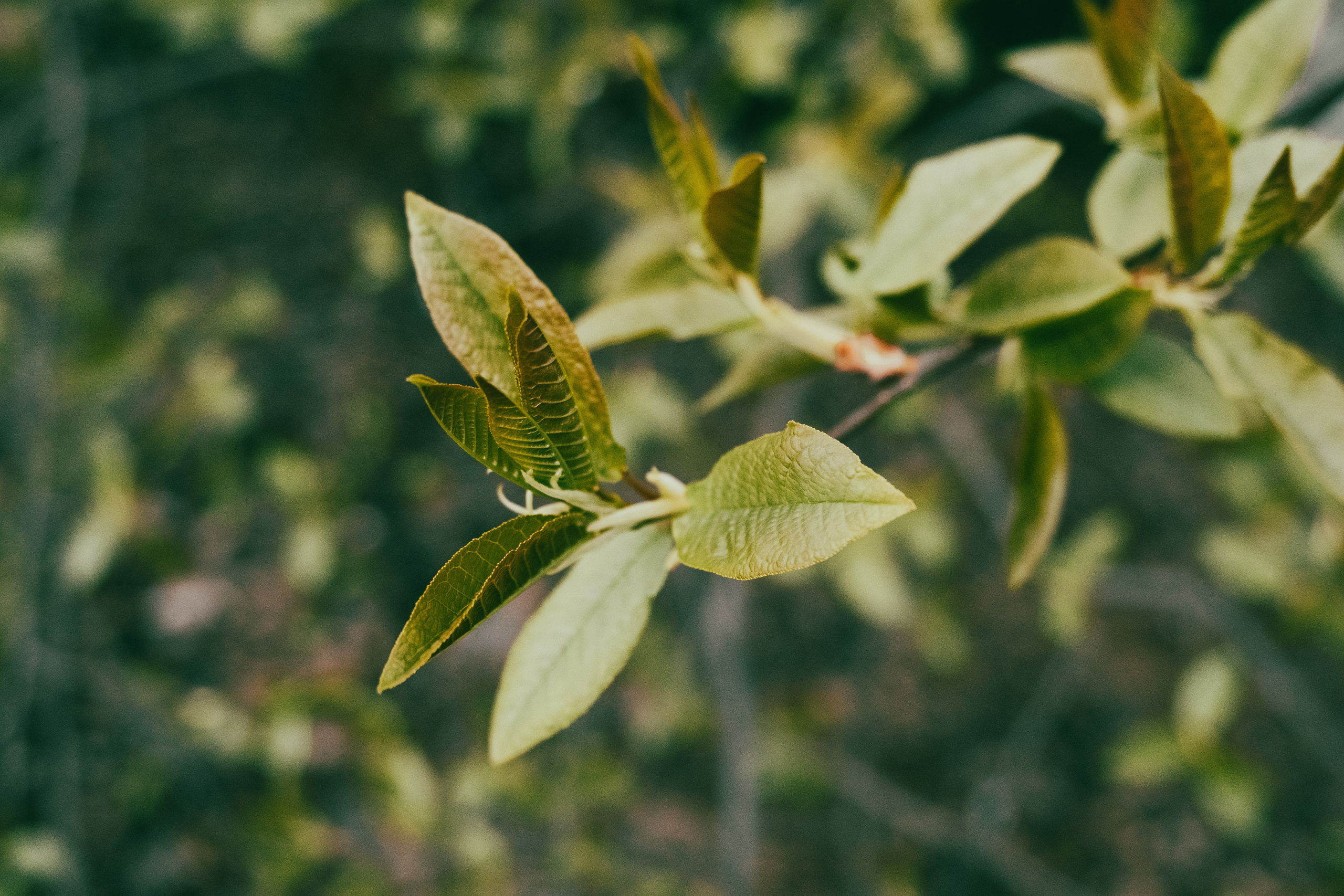 Текстуры апреля. Портретный и архитектурный фотограф в Москве и Санкт-Петербурге