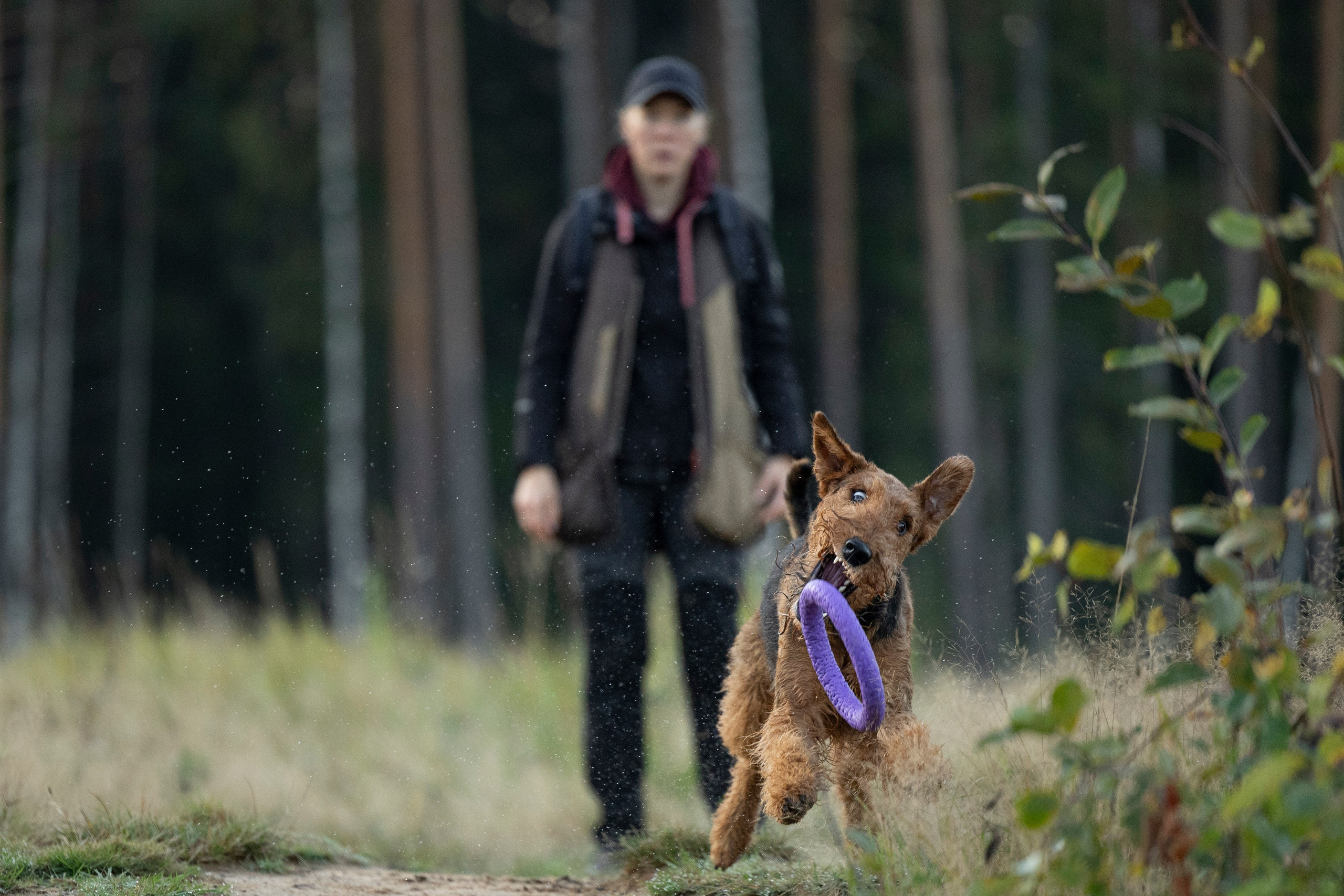 Харди. Фотограф-анималист Анна Маринич