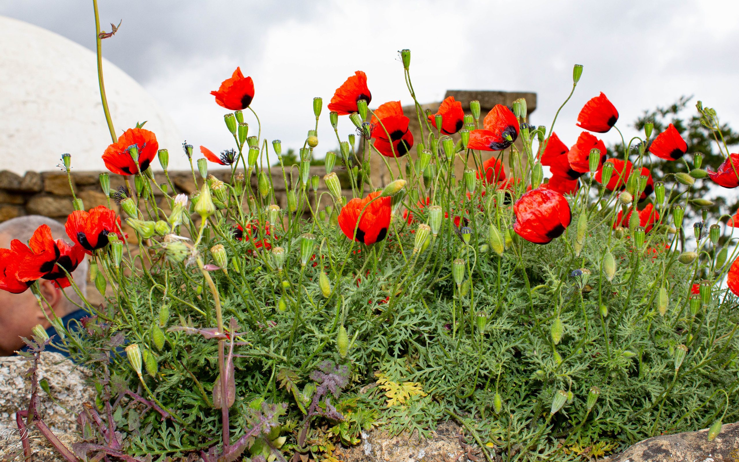 ДАГЕСТАН. Михаил Дёгтев - фотограф