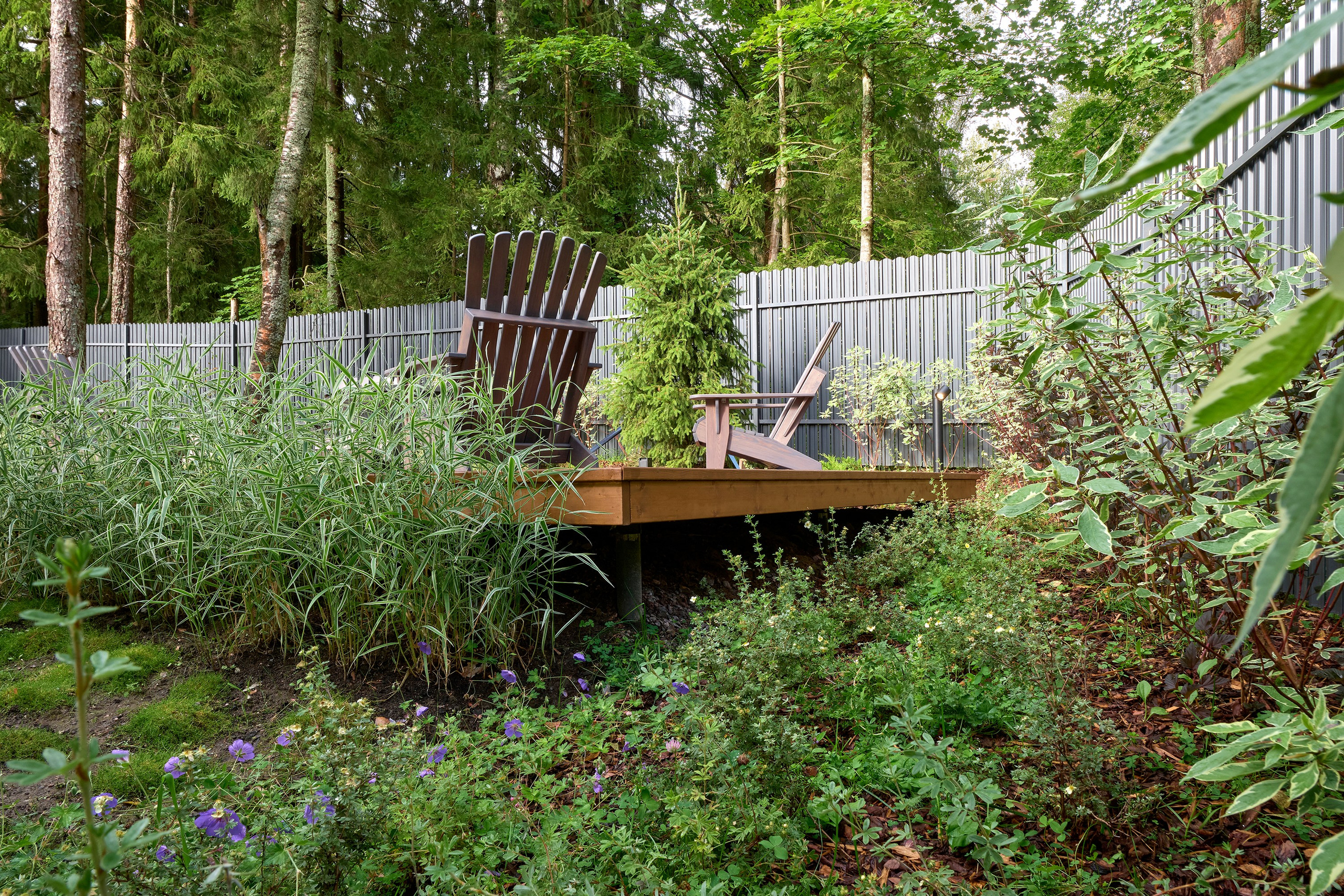 Фотосъемка реализованного проекта частного сада в Заполье для ландшафтной студии Хвоя. Фотограф Наталья Соловьева