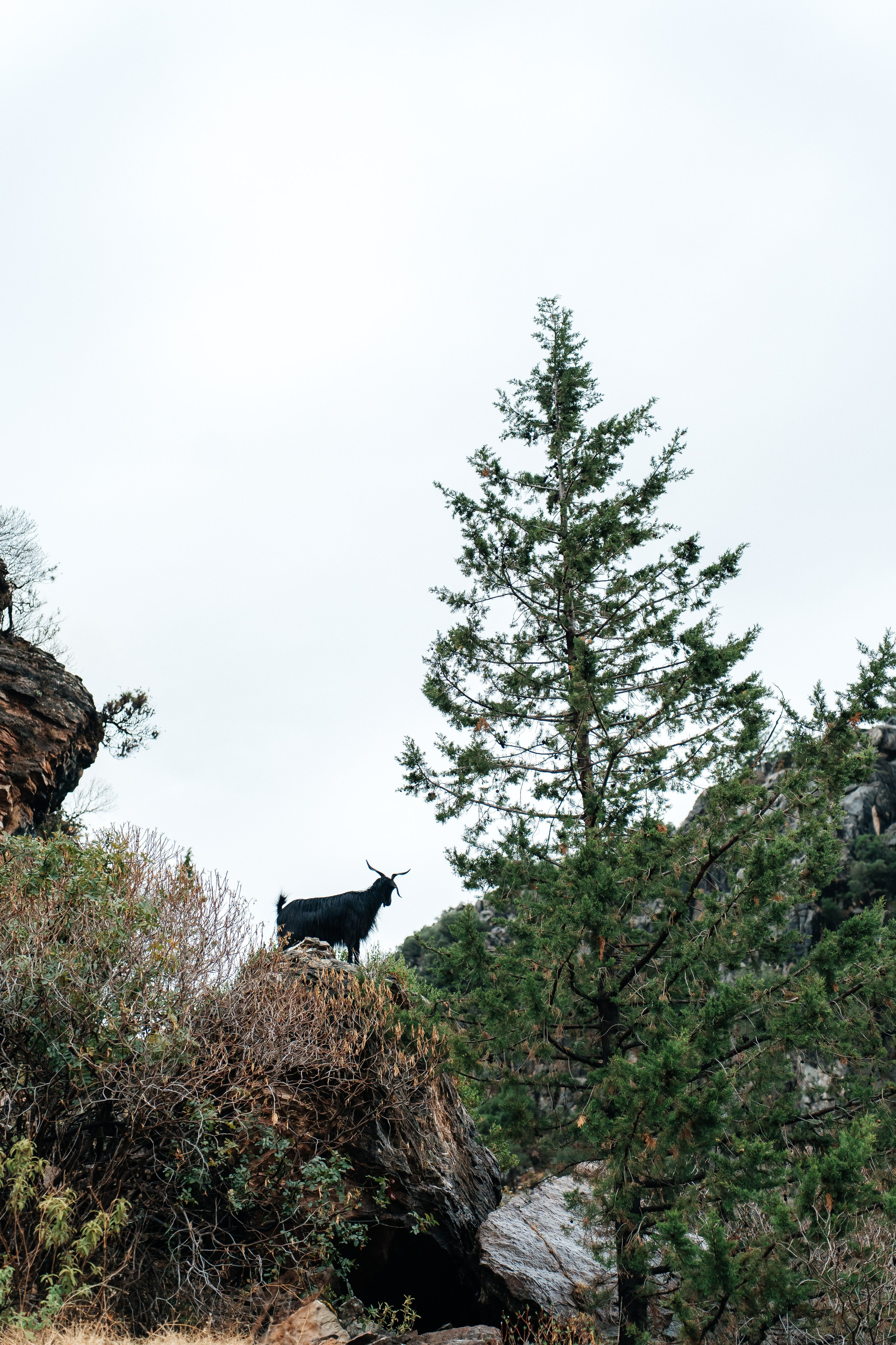 Ликийская тропа, Турция. Семейный фотограф в Санкт-Петербурге