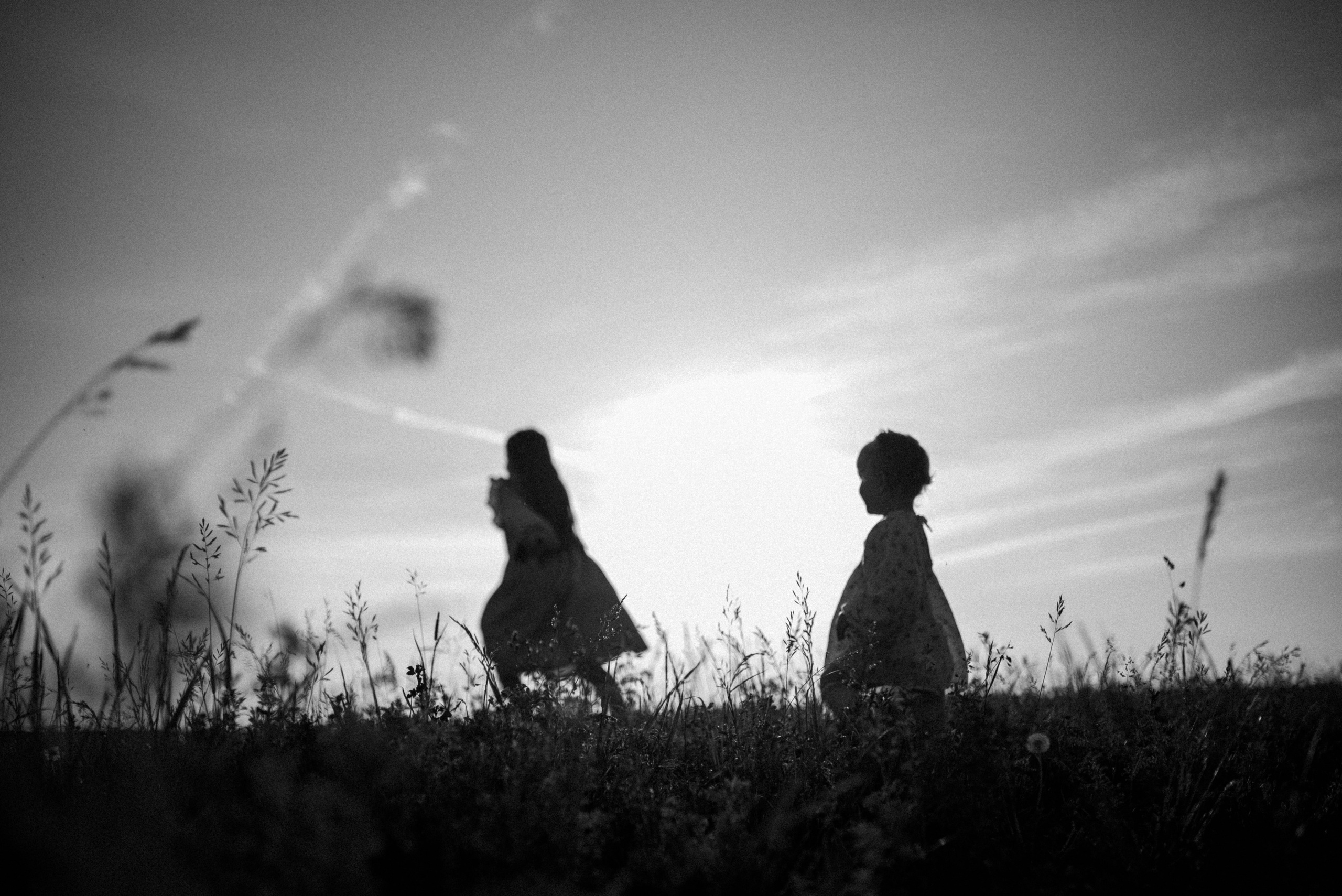 Ида, Мира и ромашки. Свадебный и семейный фотограф Кожевникова Лариса