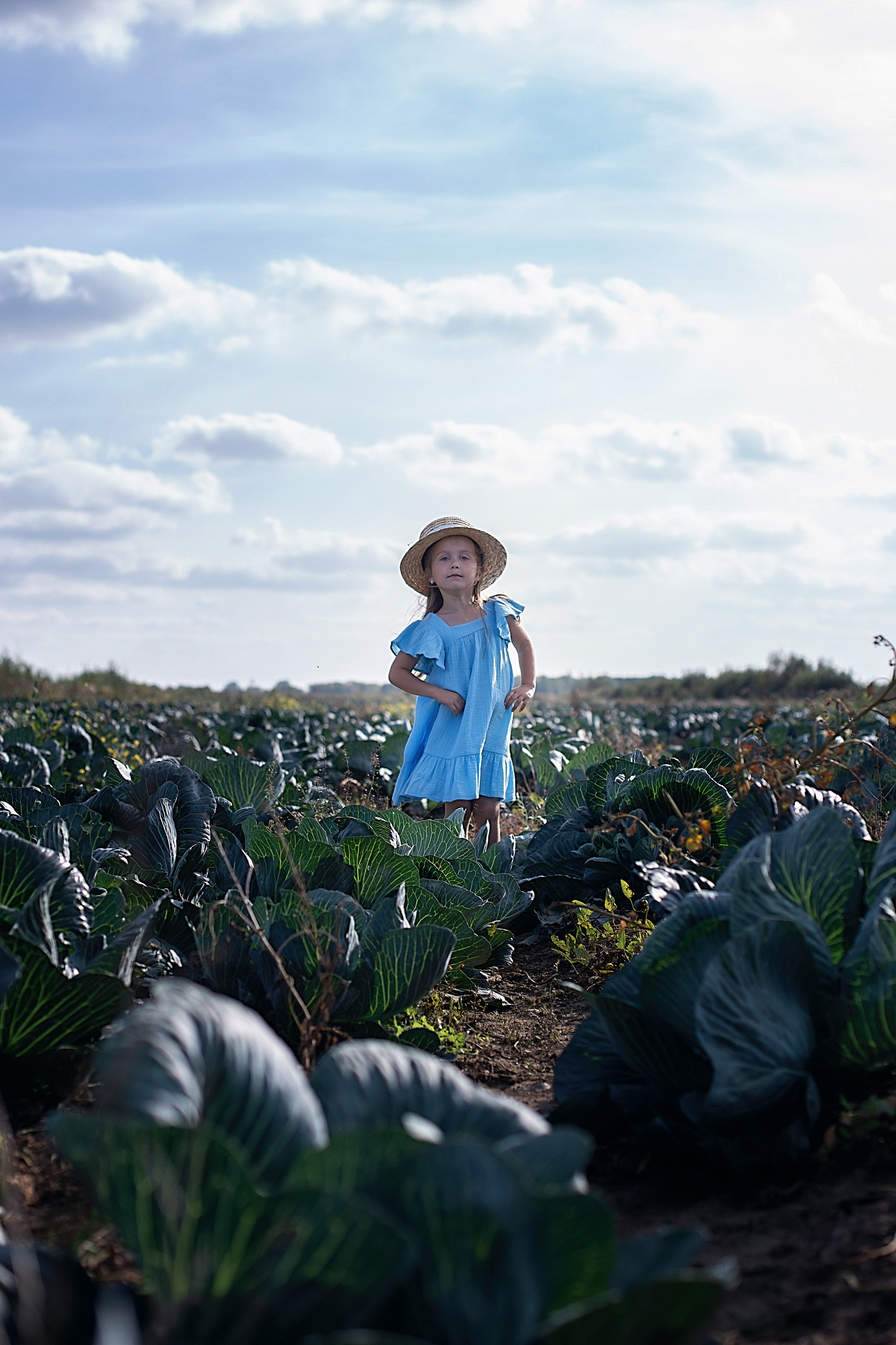 Капустное поле_Ленинградская область. Семейный фотограф в Санкт-Петербурге