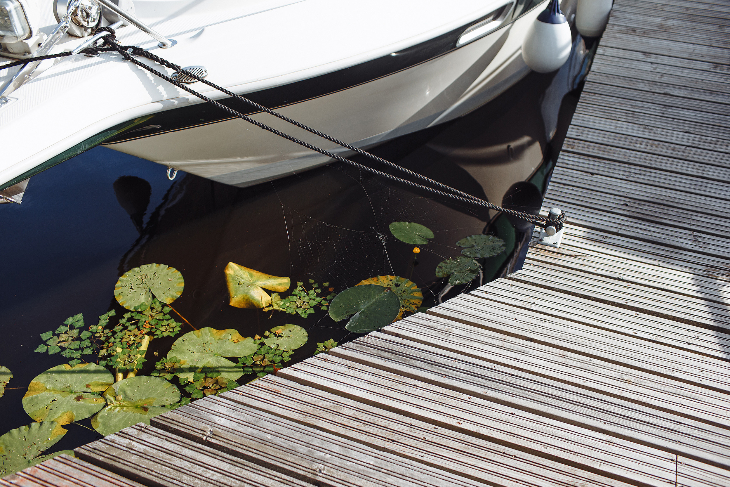 Дмитрий & Владлена. Свадебный и семейный фотограф в Твери, Москве, Санкт-Петербурге