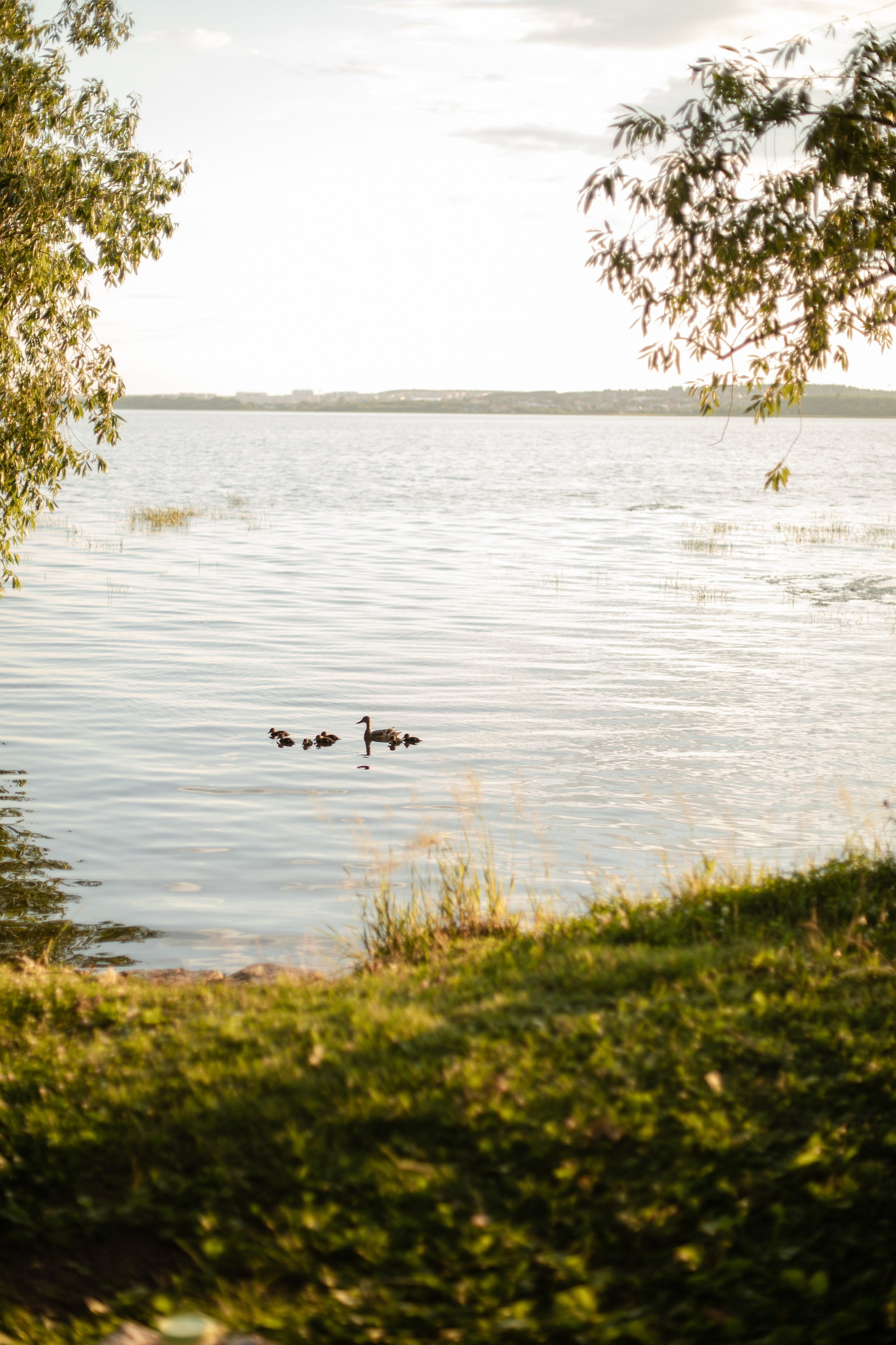 Аня и Семен. Семейный фотограф Челябинск