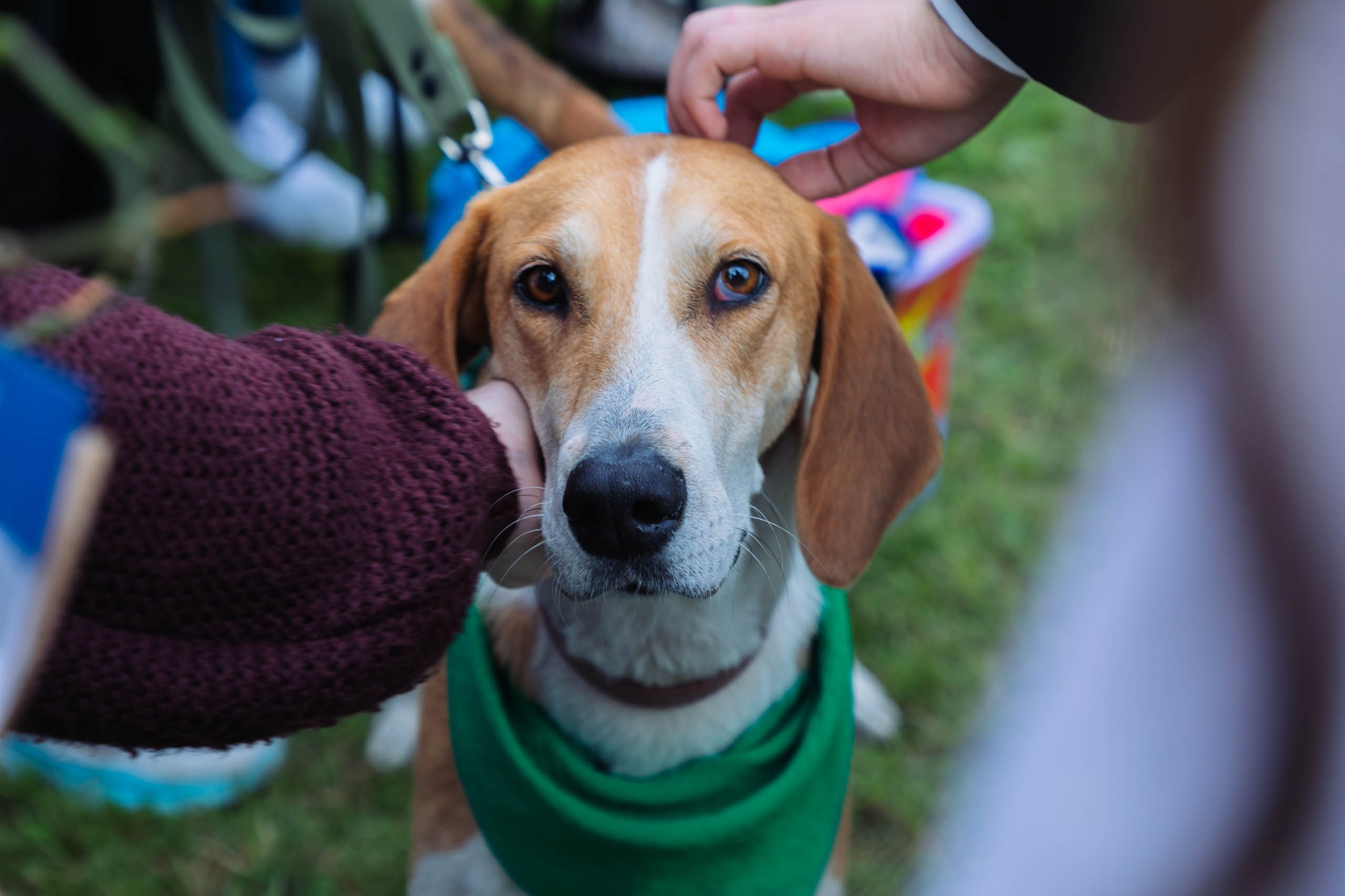 ЭкоОхта — 2023. Репортажный и концертный фотограф в Санкт-Петербурге Адмакина Дарья