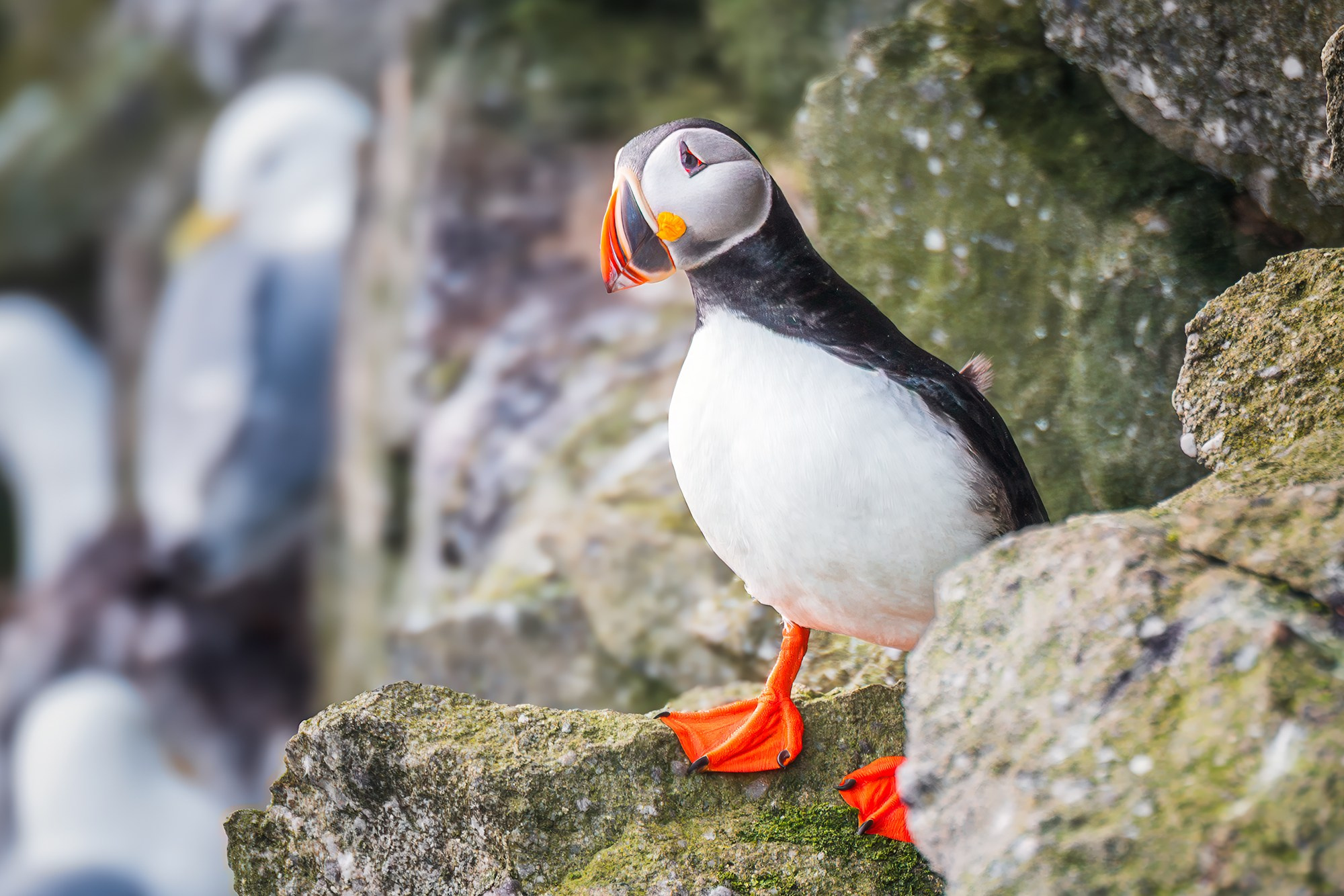 Арктика. Аэросъемка в Архангельске, Александр Ермолин