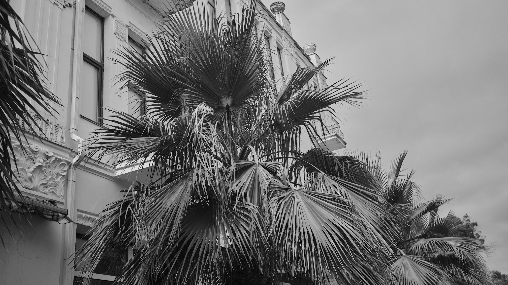 Фотограф Владимир Кононенко