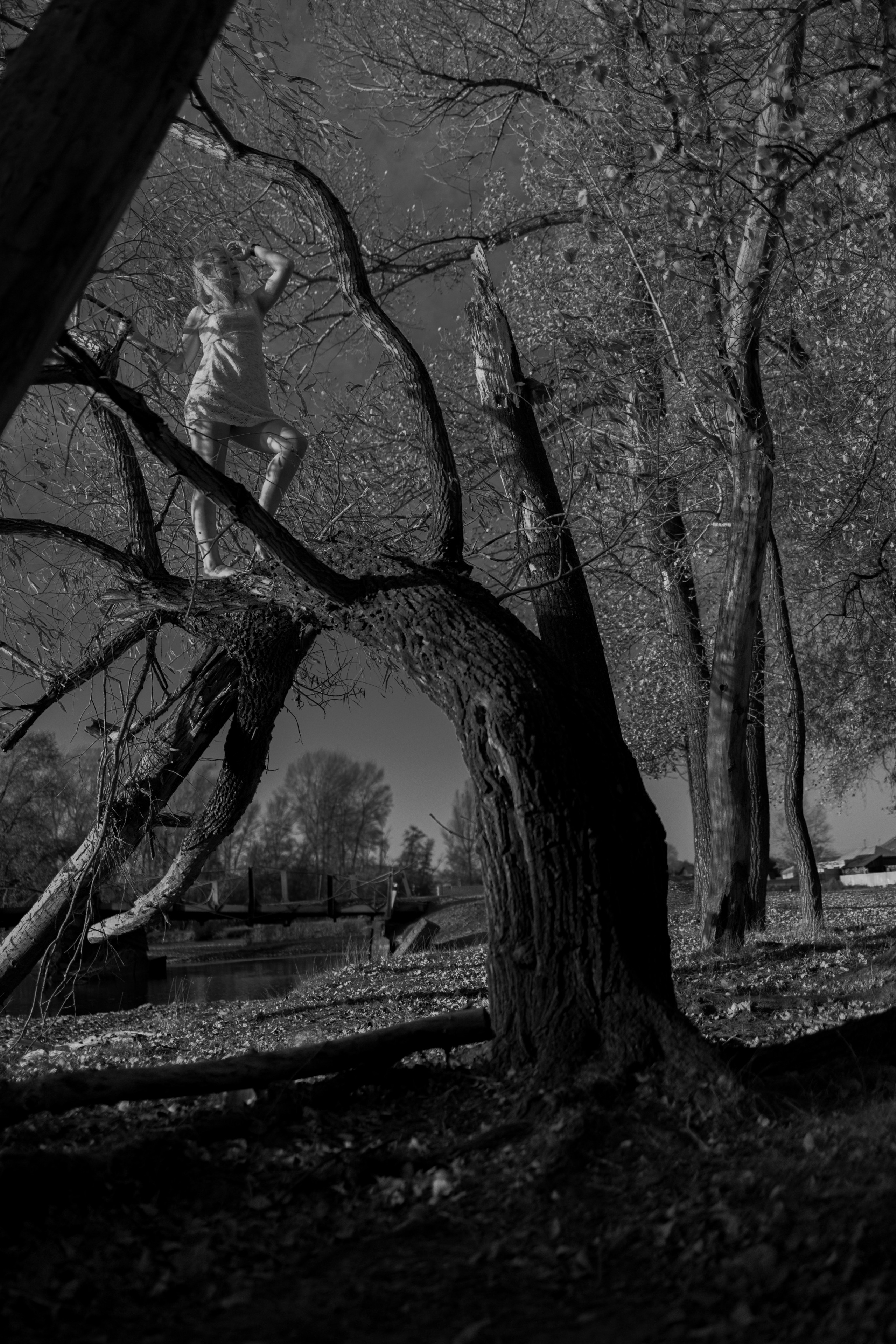 Альбина (2025)