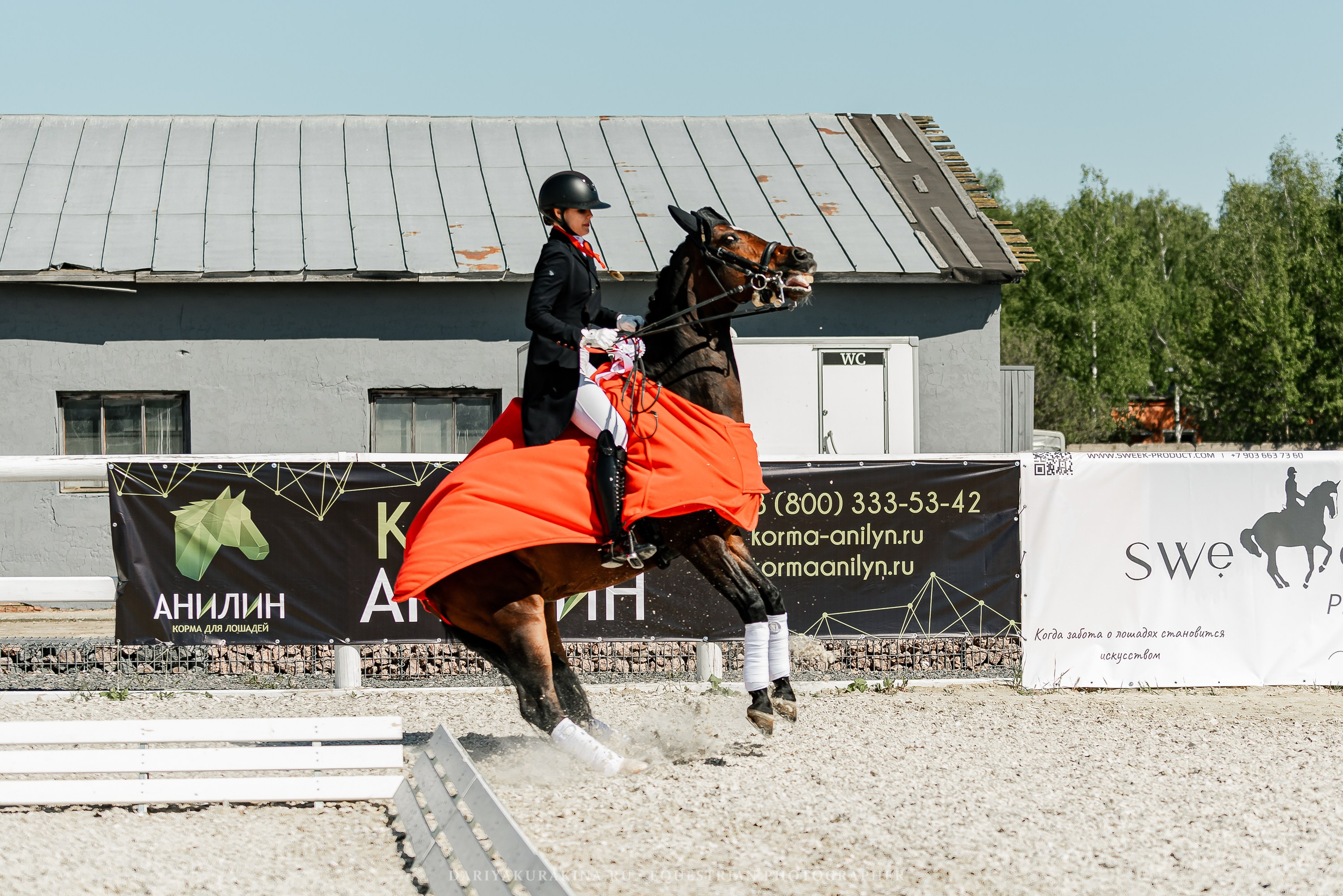 РЕПОРТАЖ МКК ВОЛЬТ «LA TULIPS». Конный фотограф Куракина Дарья • Фотосессии с лошадьми