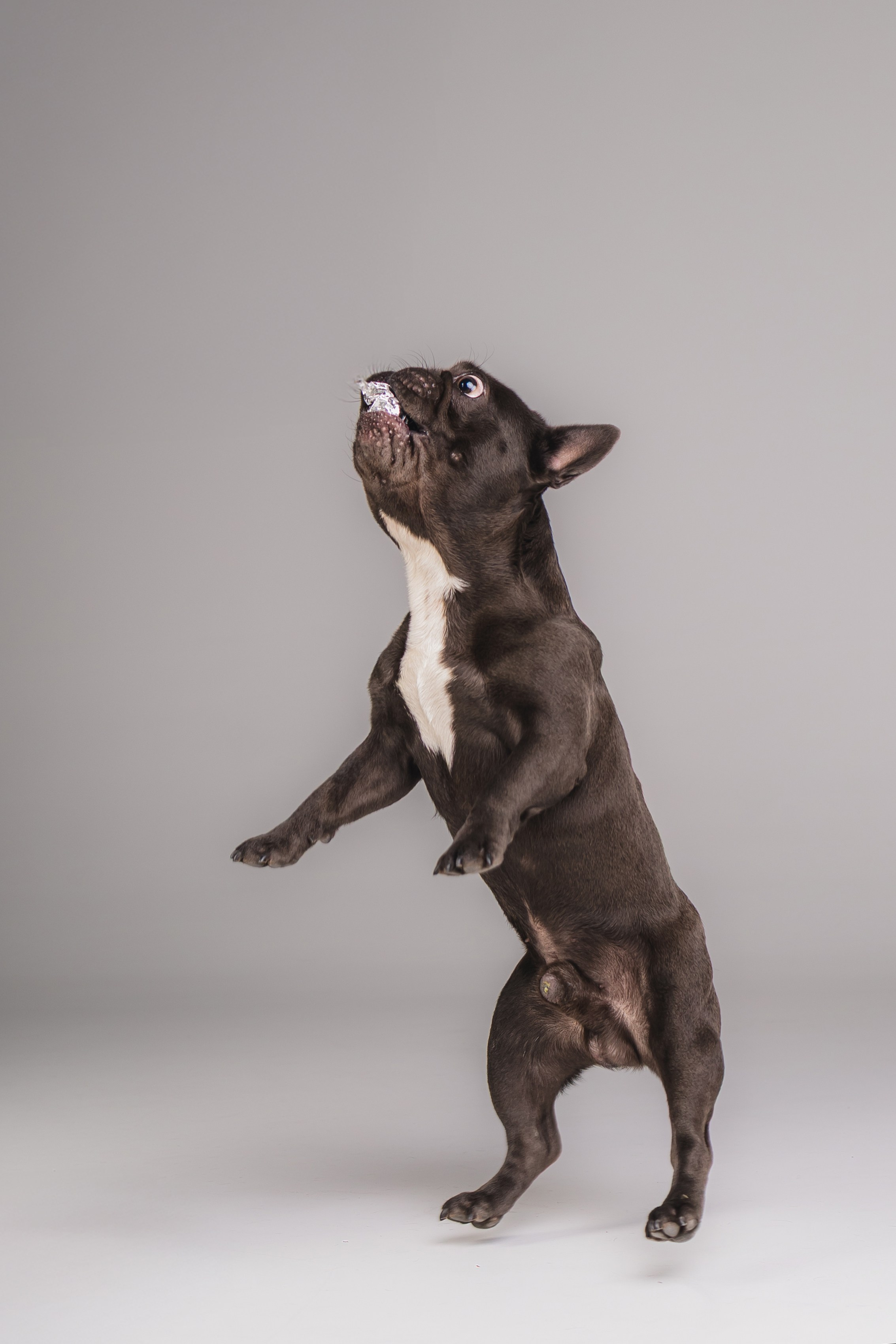 Кристина и Счастье